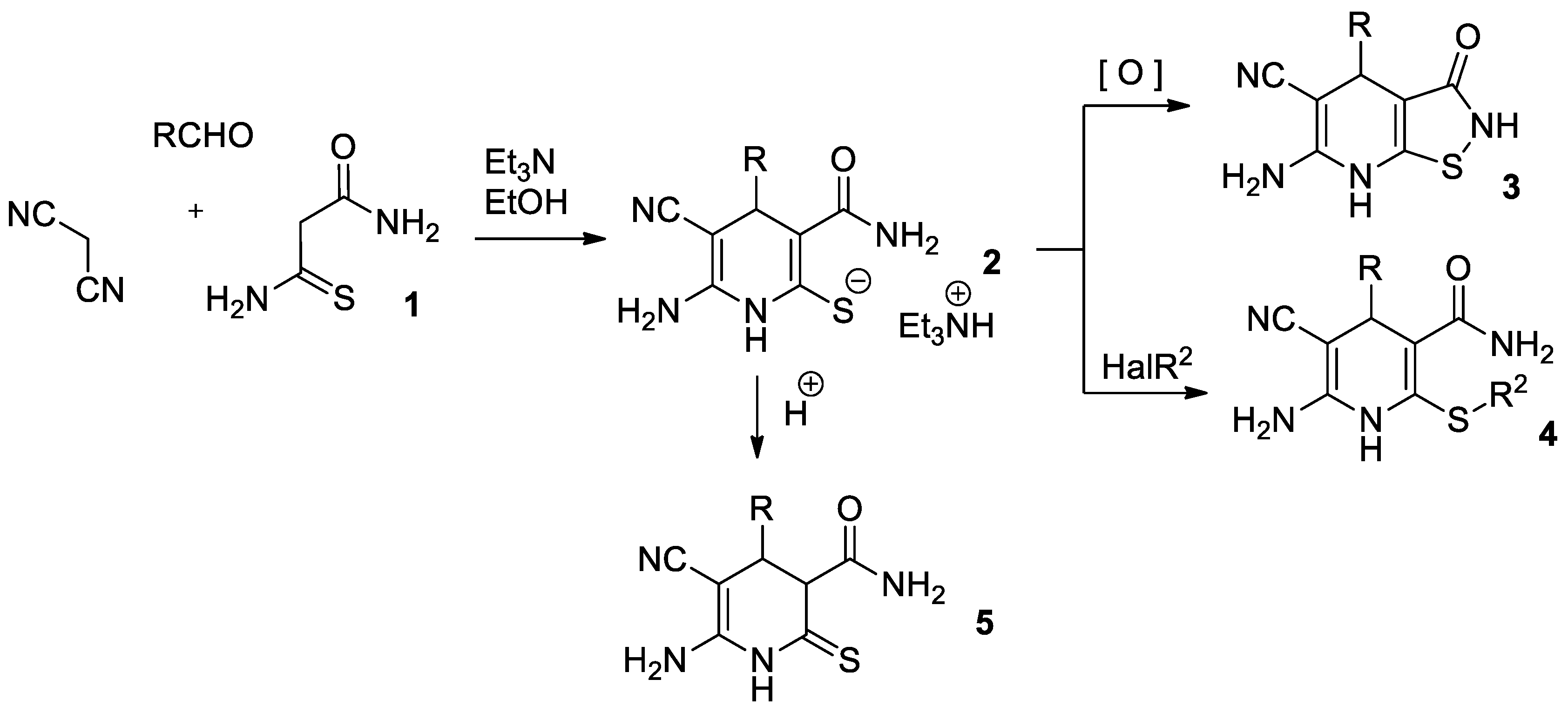 Chemproc 03 00013 sch002