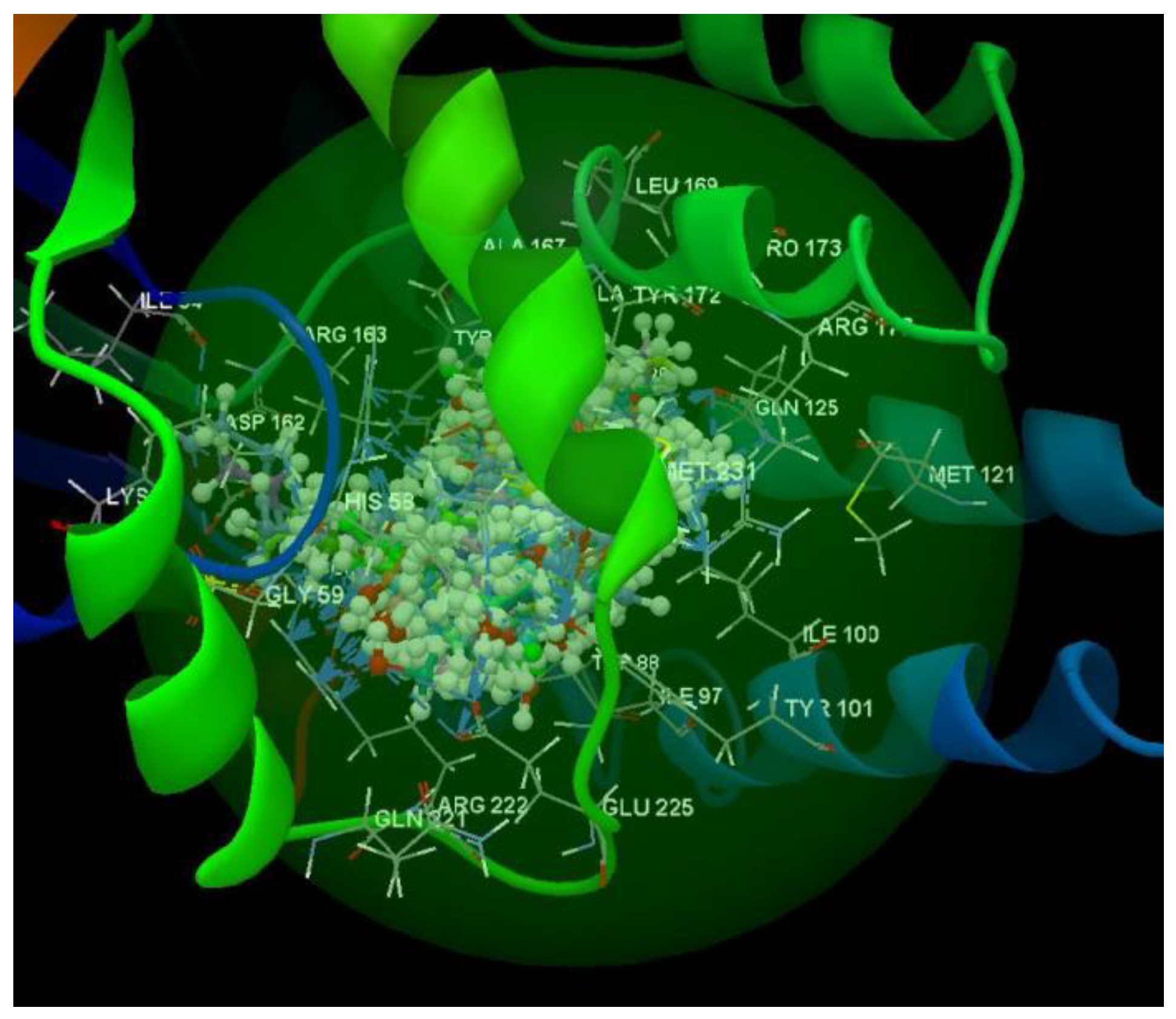 Chemproc 03 00016 g006