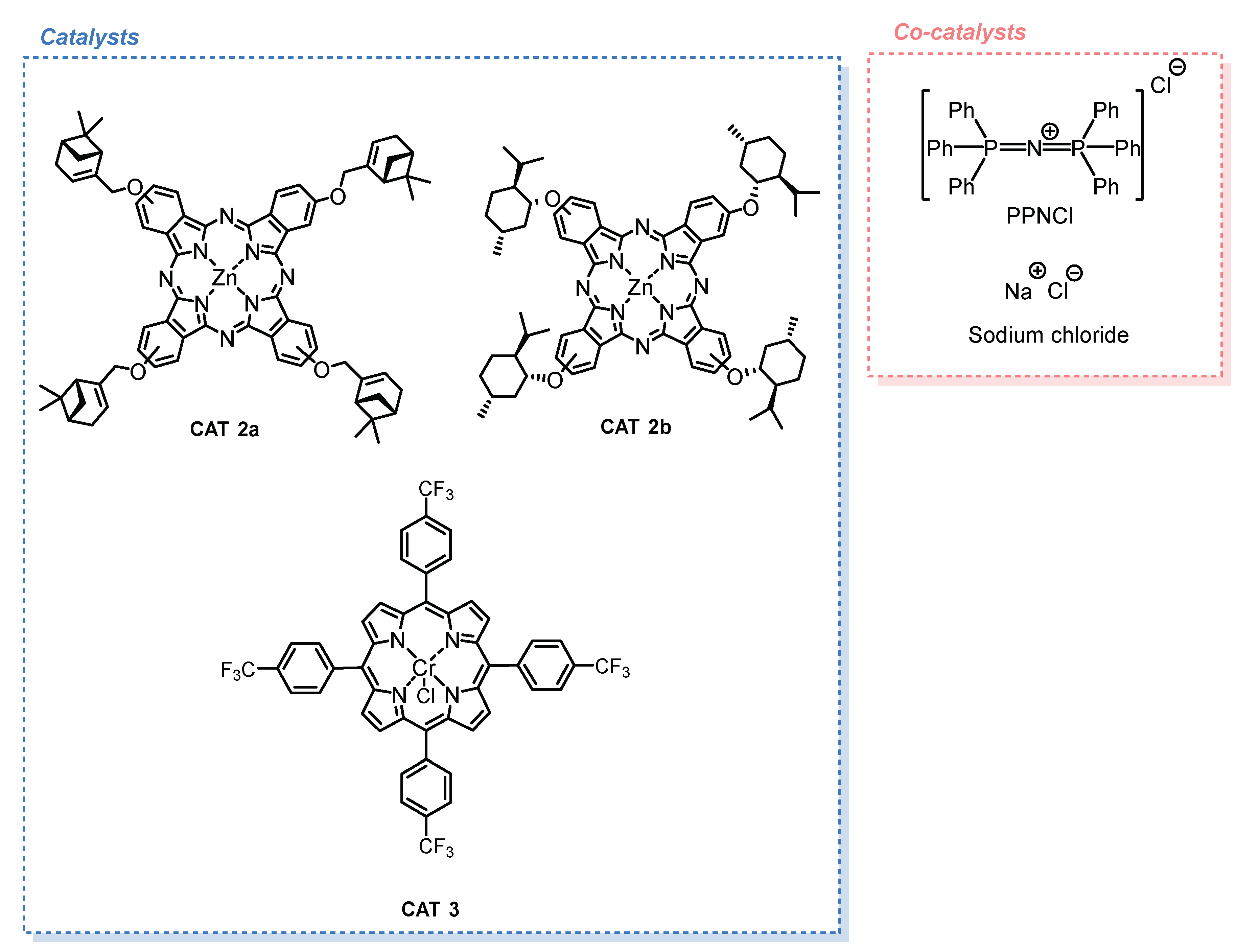 Chemproc 03 00017 sch005