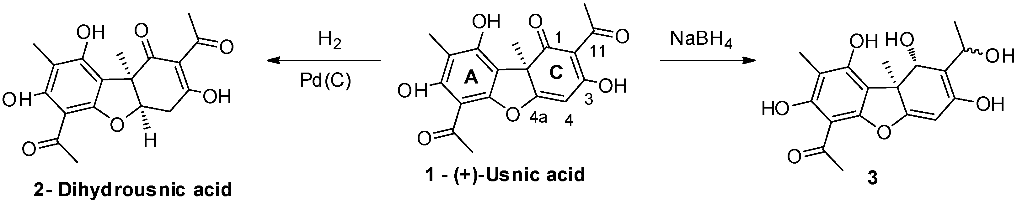 Chemproc 03 00021 sch001 Chemproc 03 00021 sch001