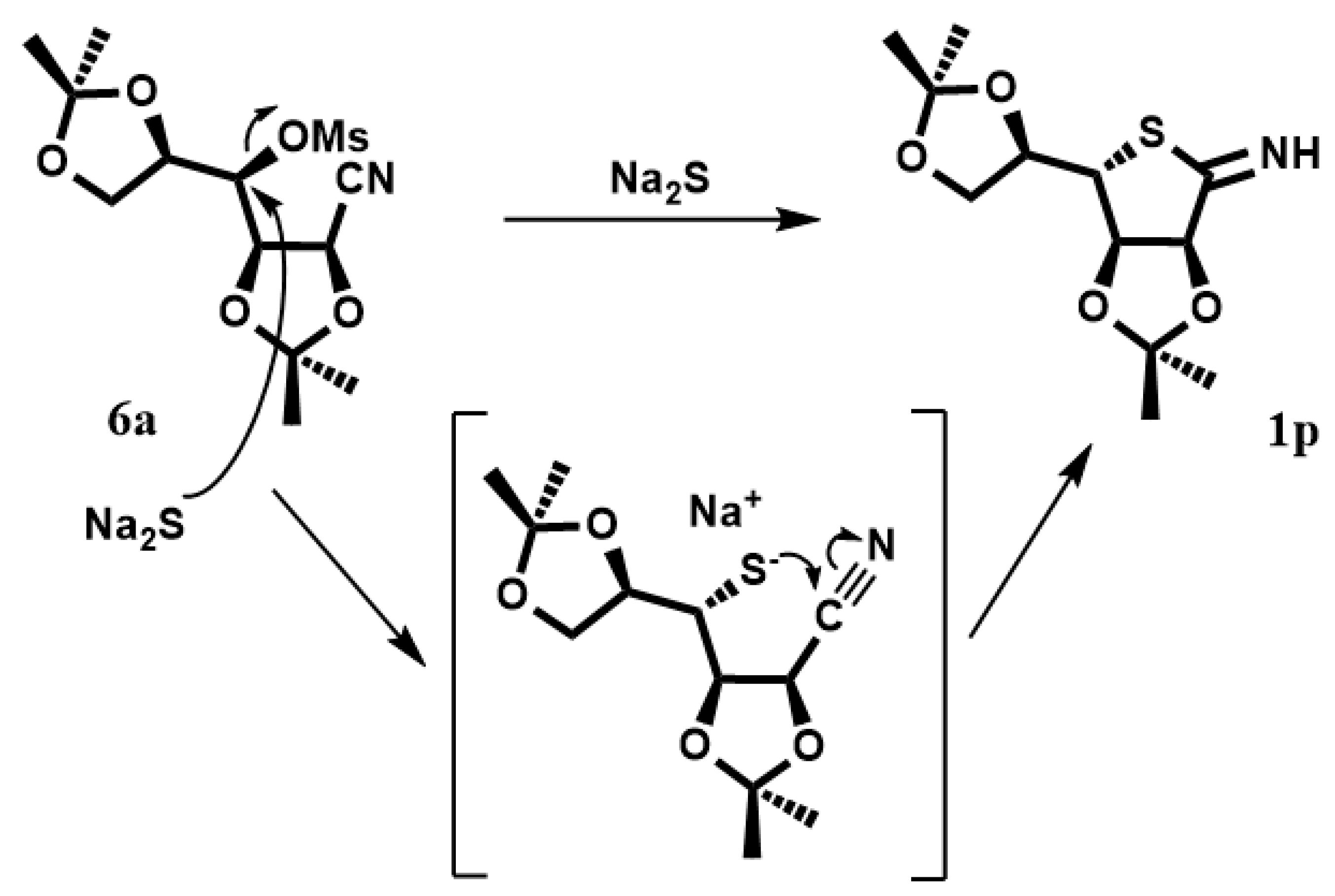 Chemproc 03 00028 sch003