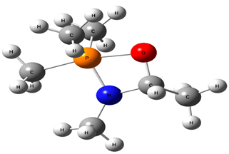 Chemproc 03 00047 i005