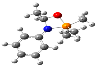 Chemproc 03 00047 i013
