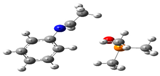 Chemproc 03 00047 i016