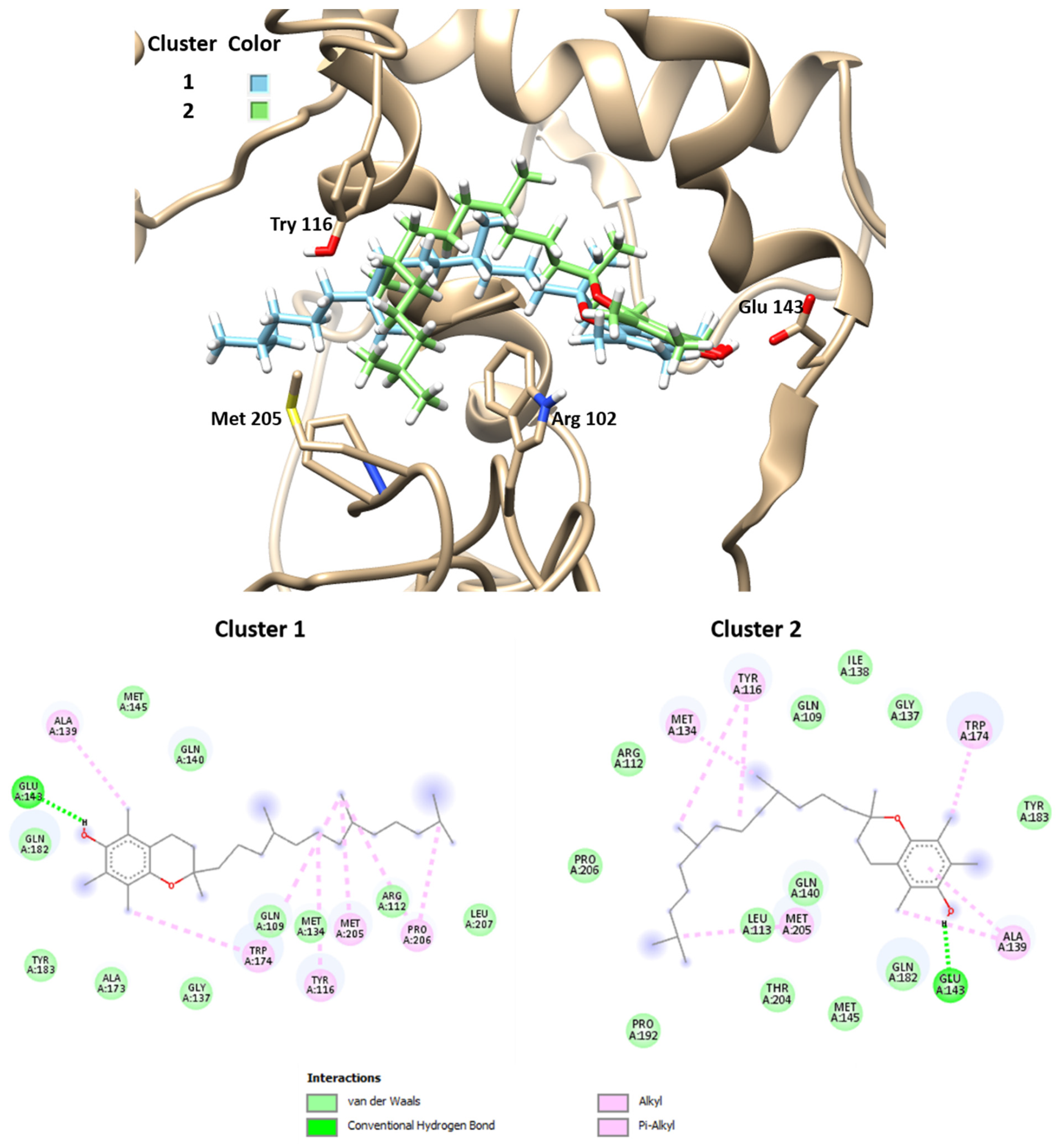 Chemproc 03 00049 g004