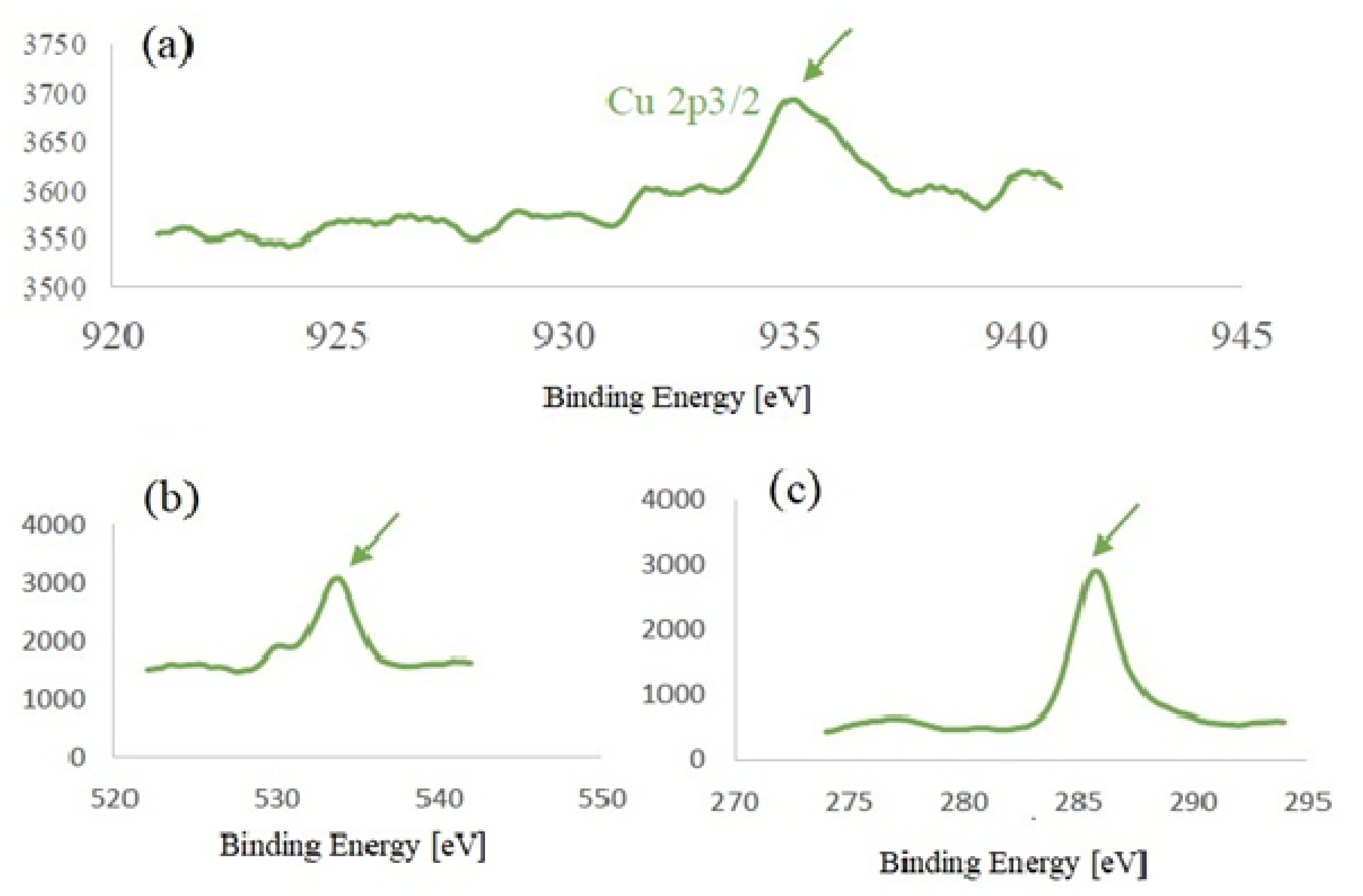 Chemproc 03 00054 g001