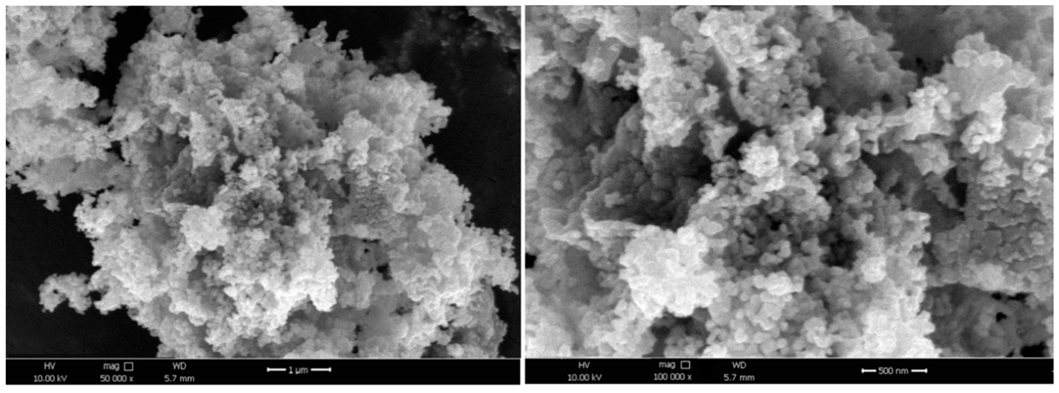 Chemproc 03 00060 g004