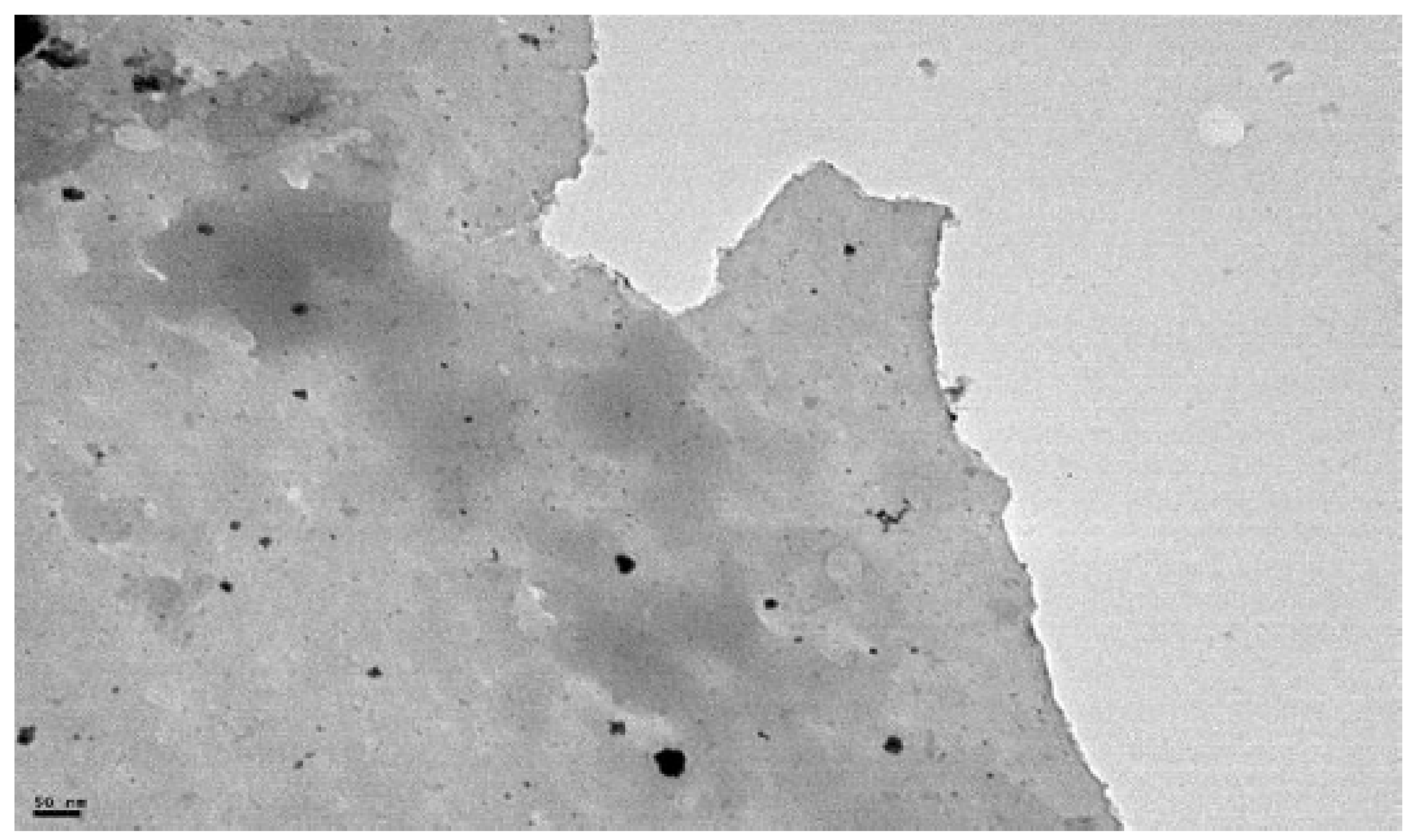 Chemproc 03 00070 g004