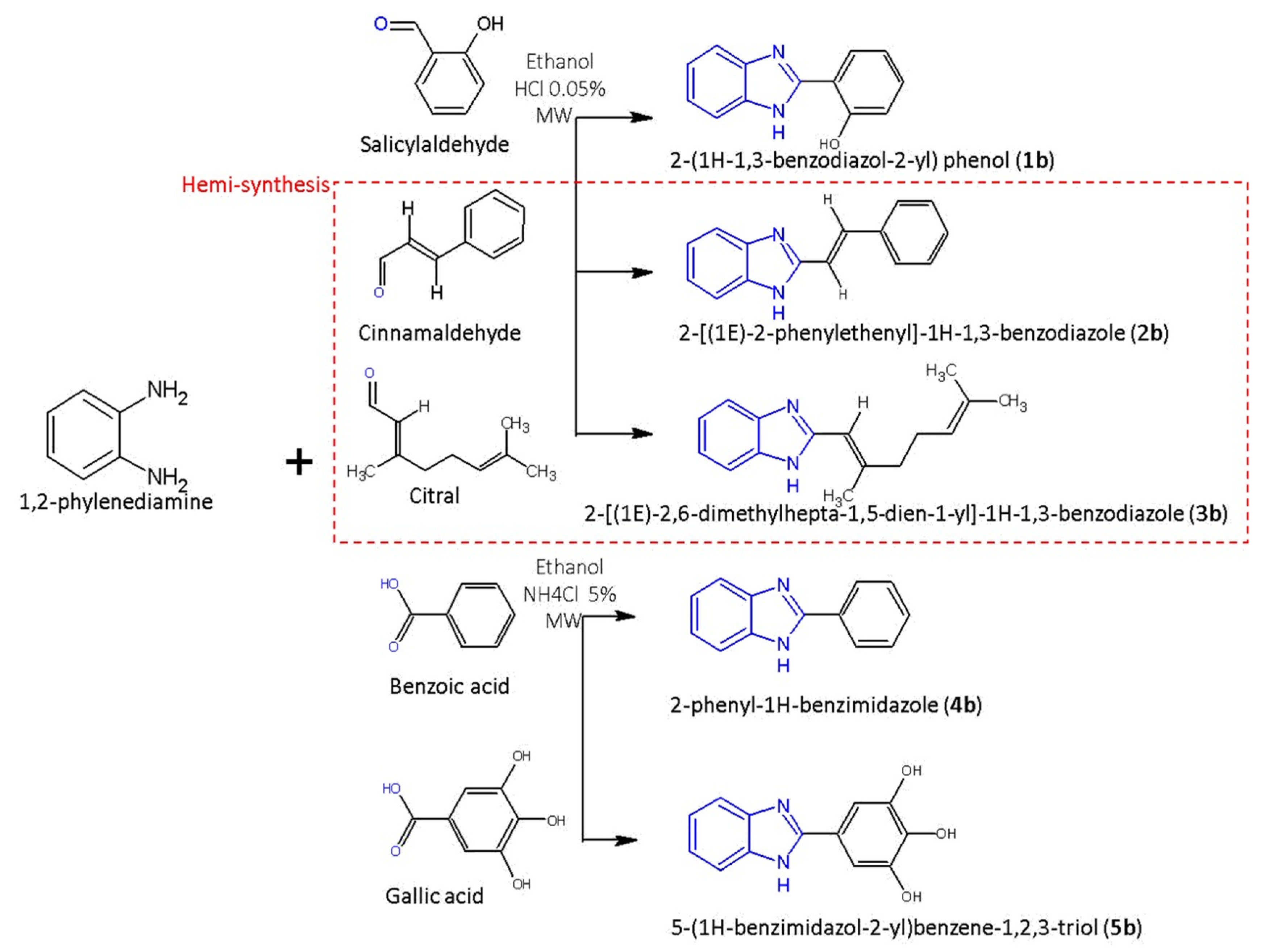 Chemproc 03 00071 g001