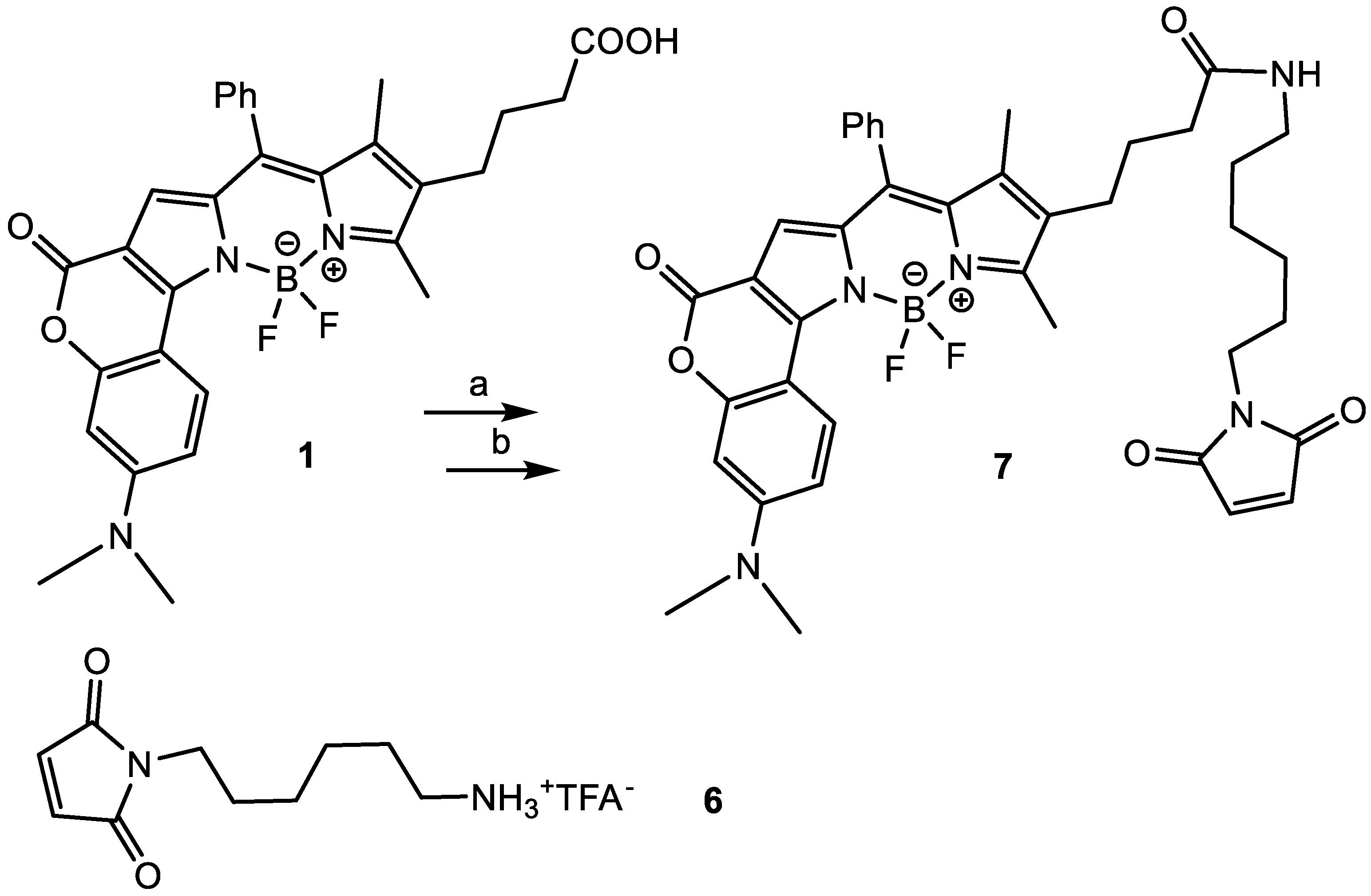 Chemproc 03 00072 sch003