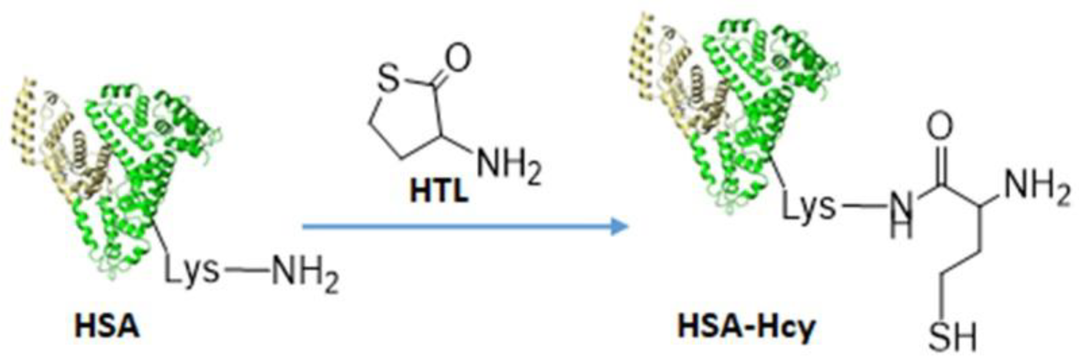 Chemproc 03 00072 sch004