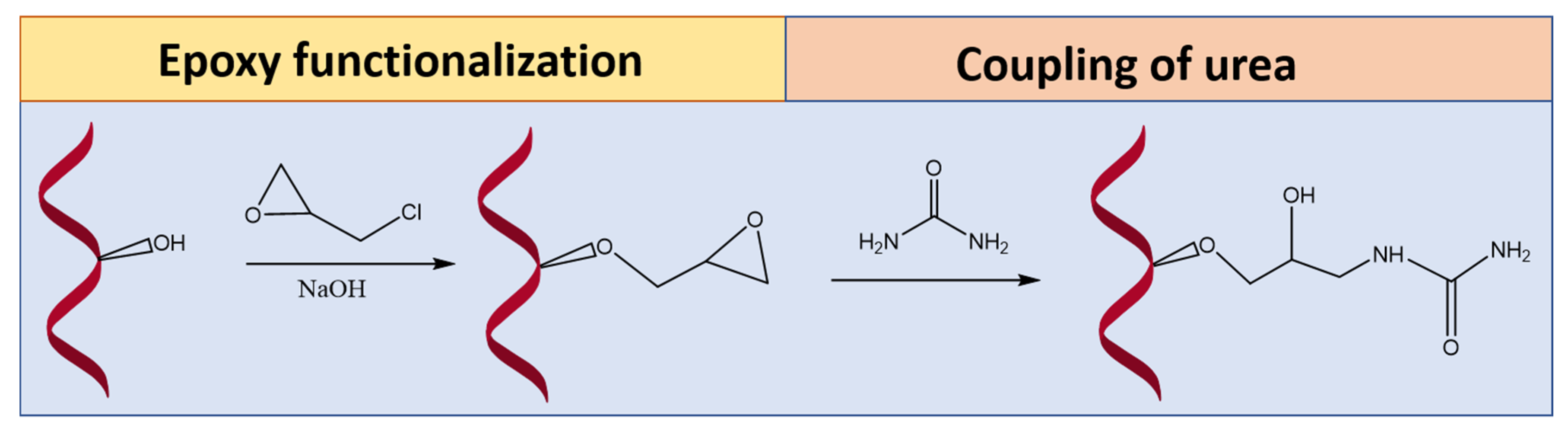 Chemproc 03 00074 g002