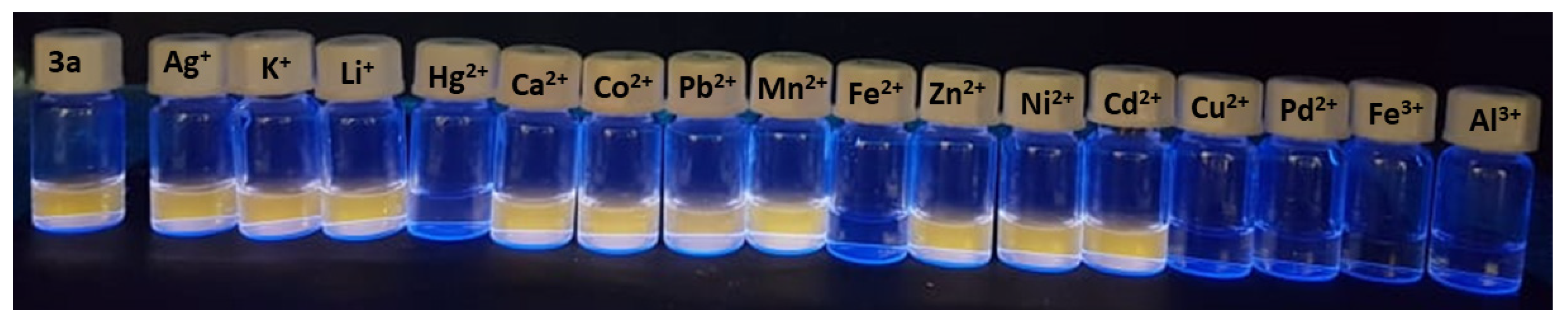 Chemproc 03 00088 g001 Chemproc 03 00088 g001