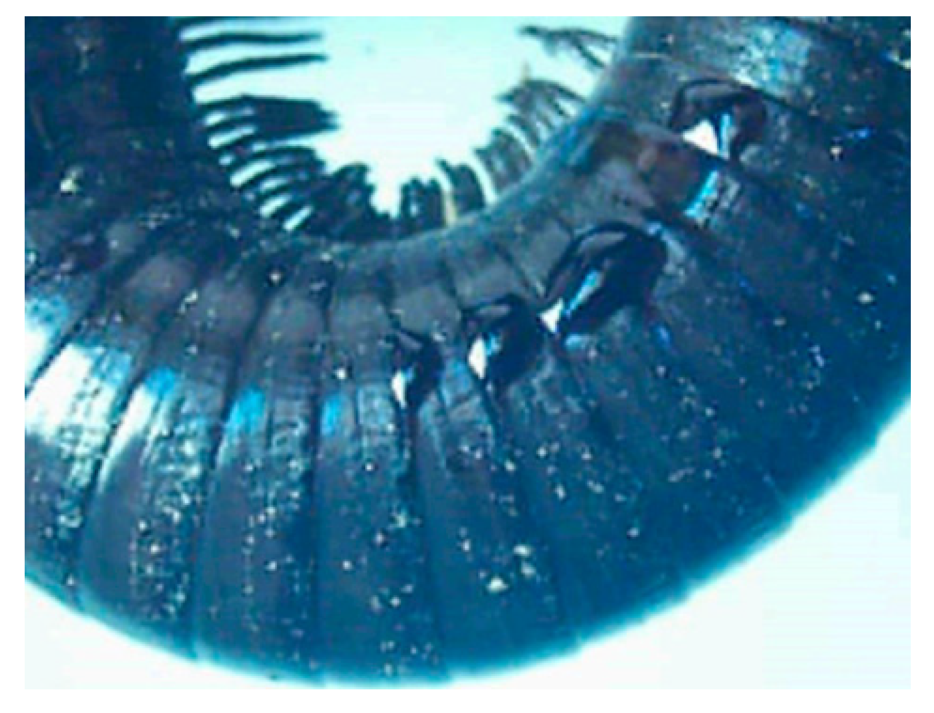 Chemproc 03 00090 g002