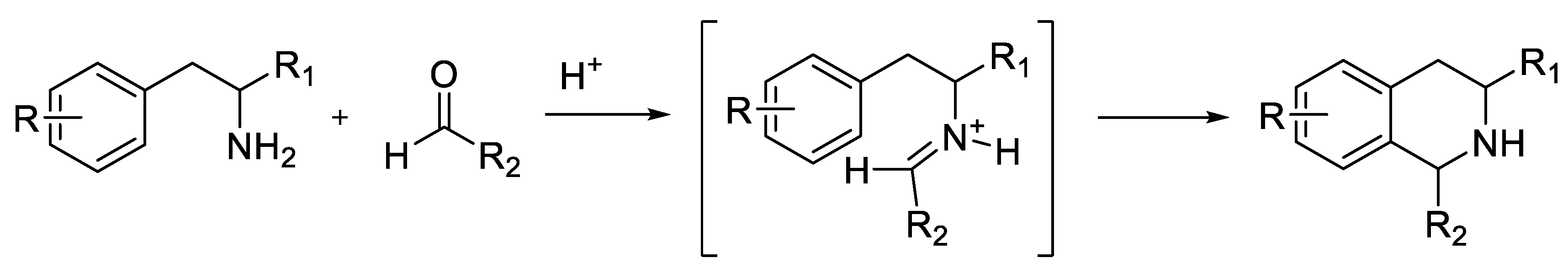 Chemproc 03 00097 sch004