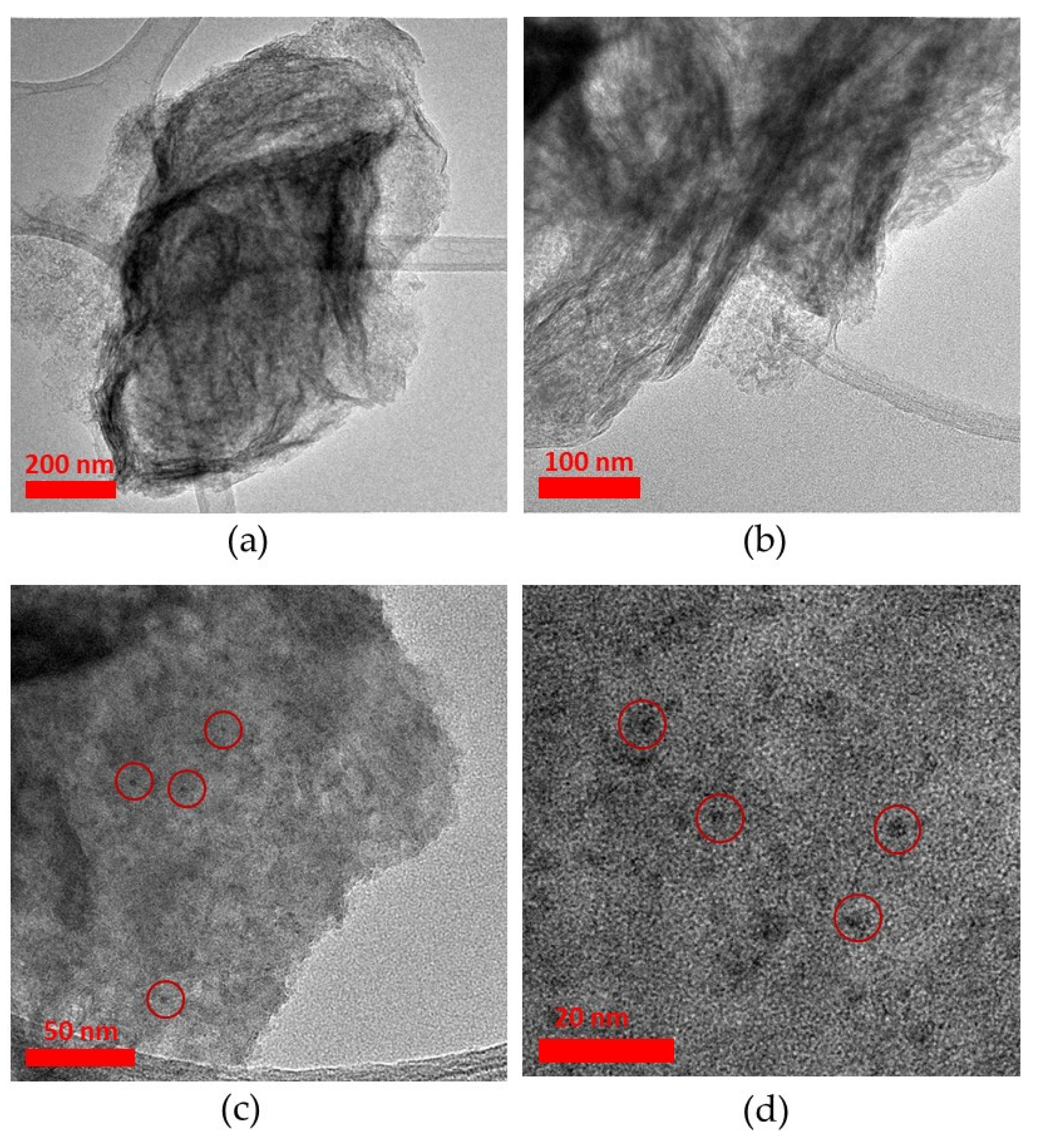 Chemproc 03 00103 g001