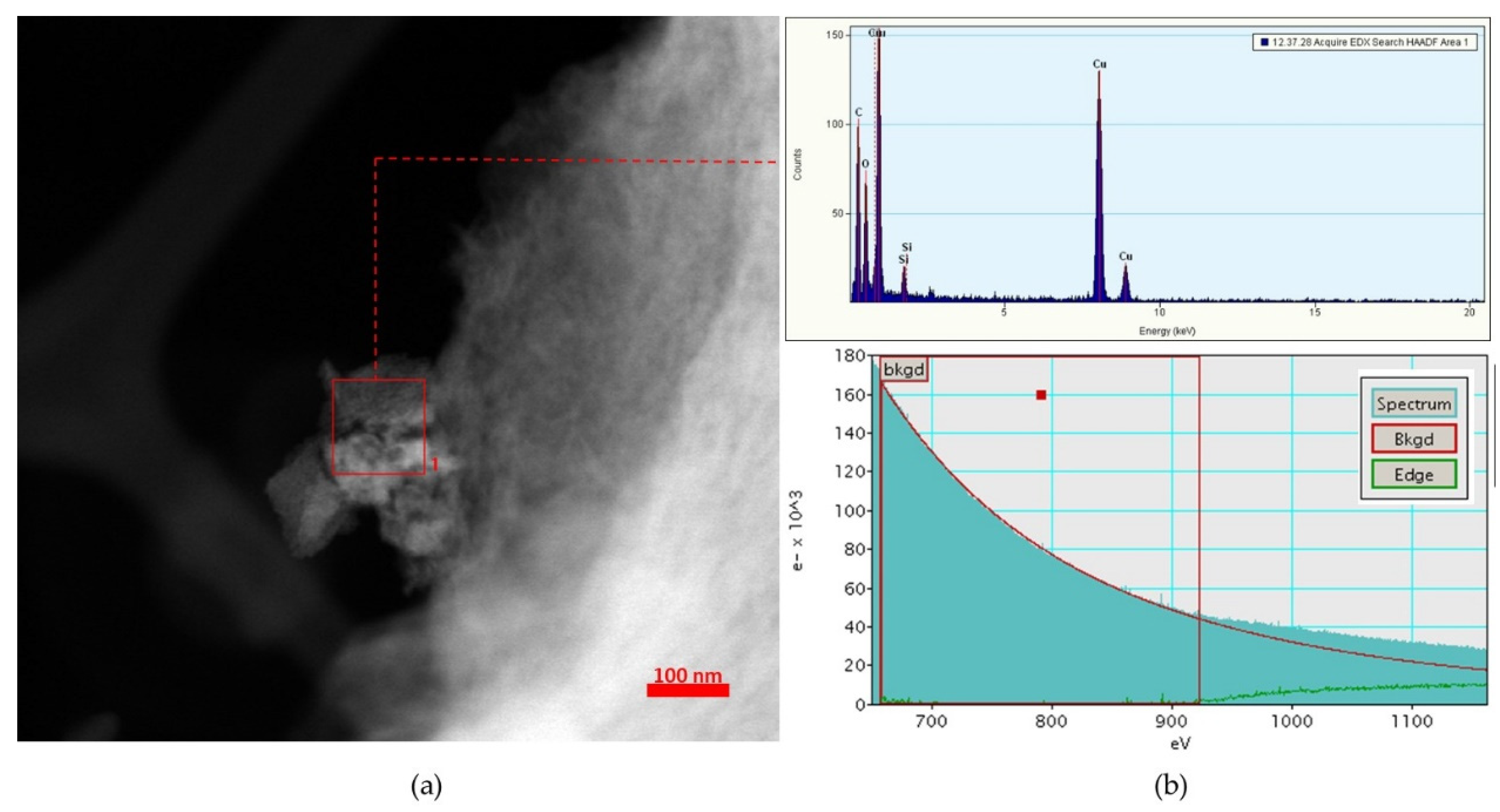 Chemproc 03 00103 g002