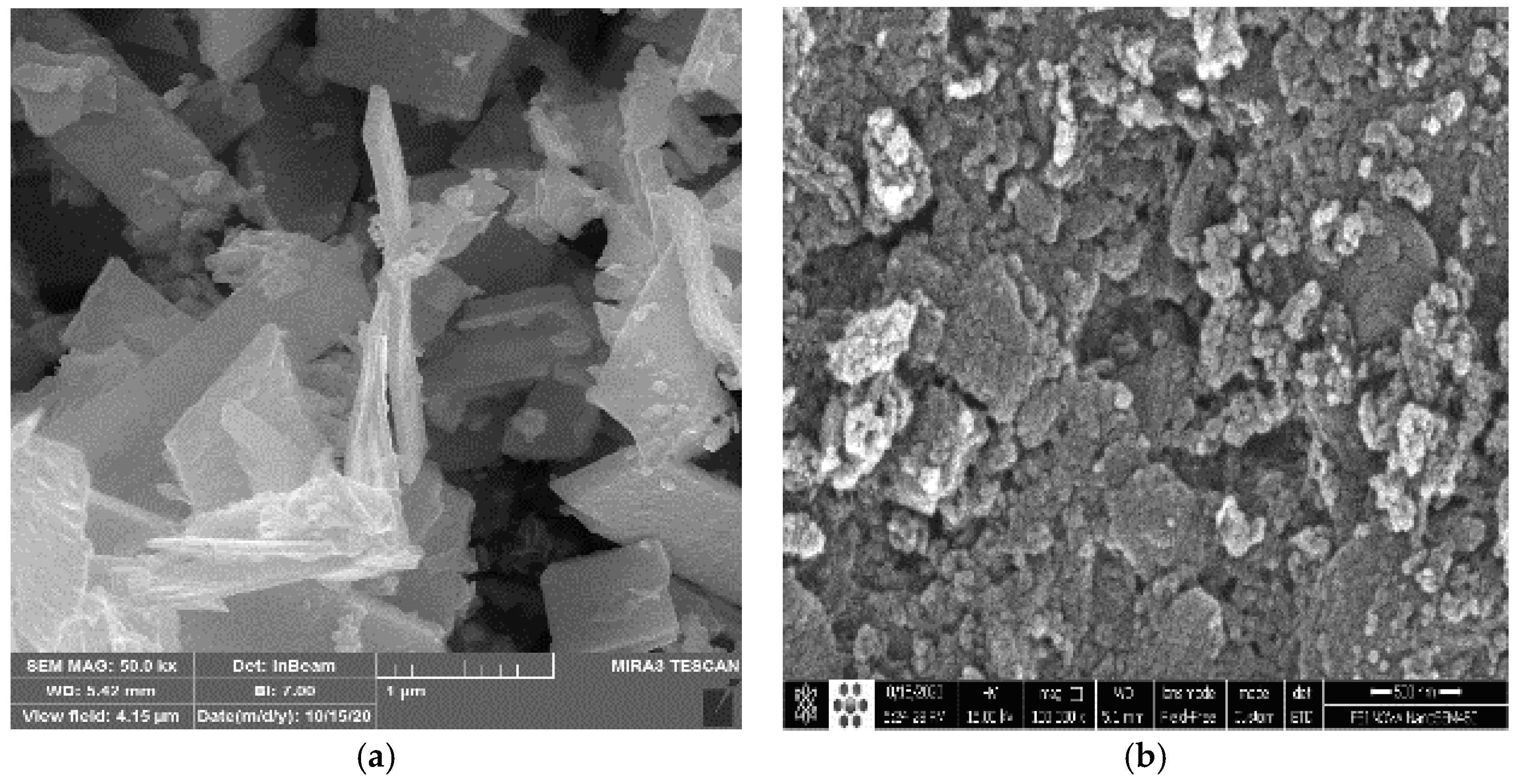 Chemproc 03 00118 g002