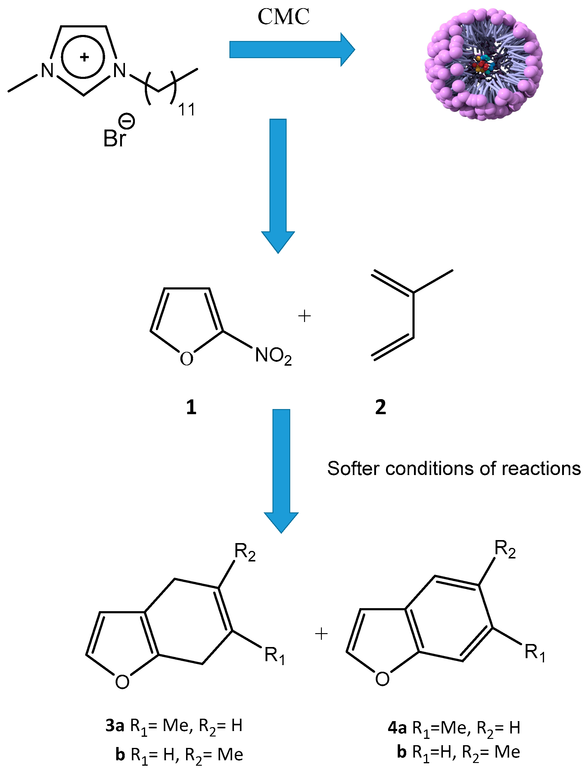Chemproc 03 00142 g001 Chemproc 03 00142 g001