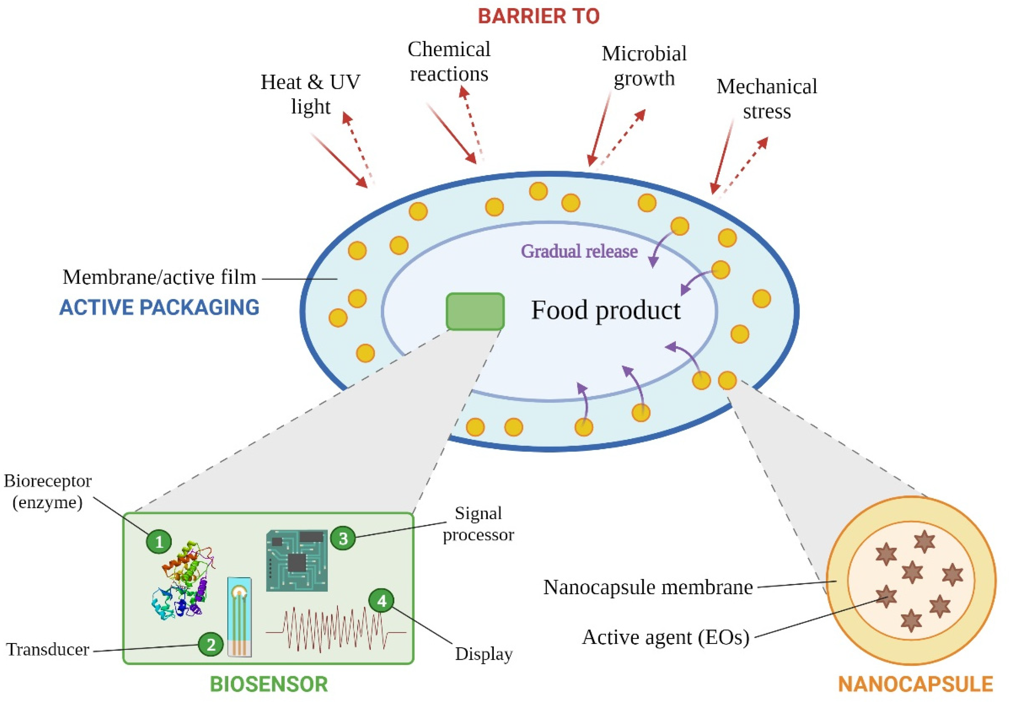 Chemproc 05 00028 g001
