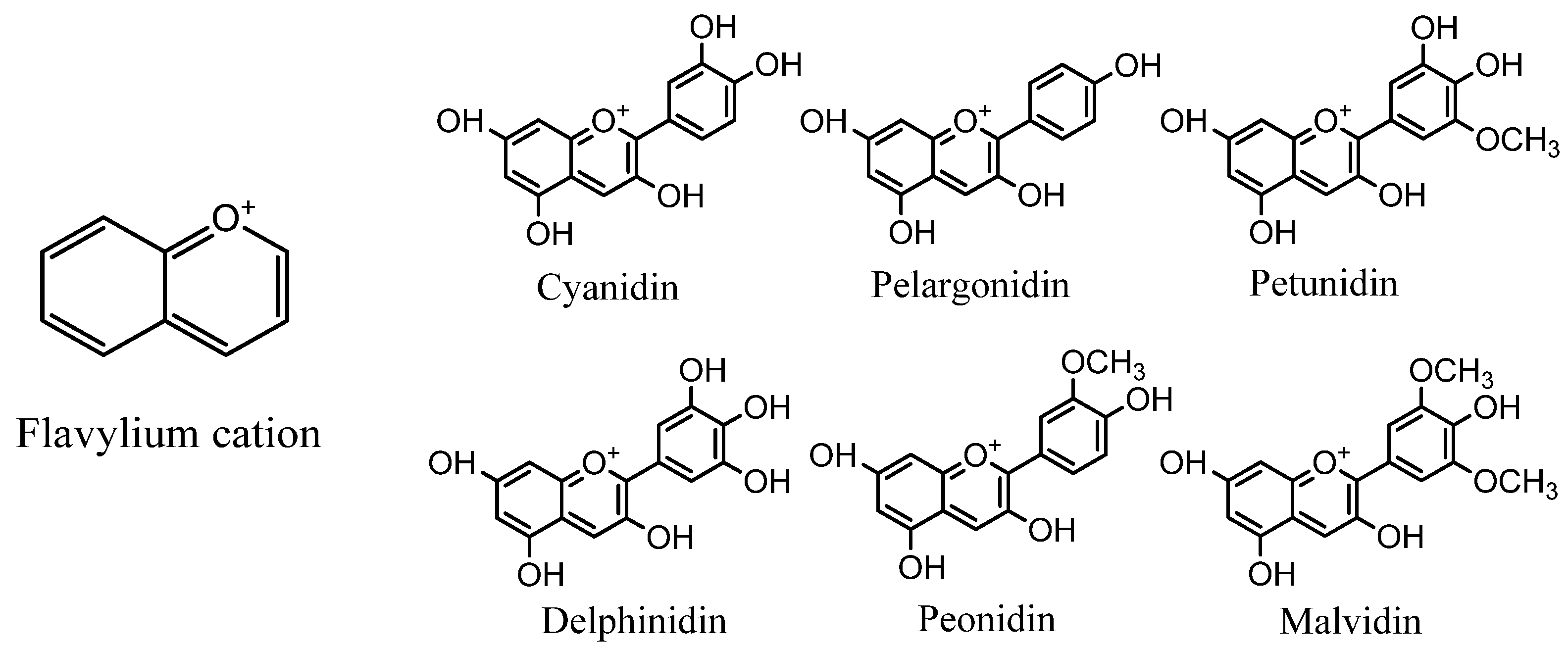 Chemproc 05 00043 g001 Chemproc 05 00043 g001