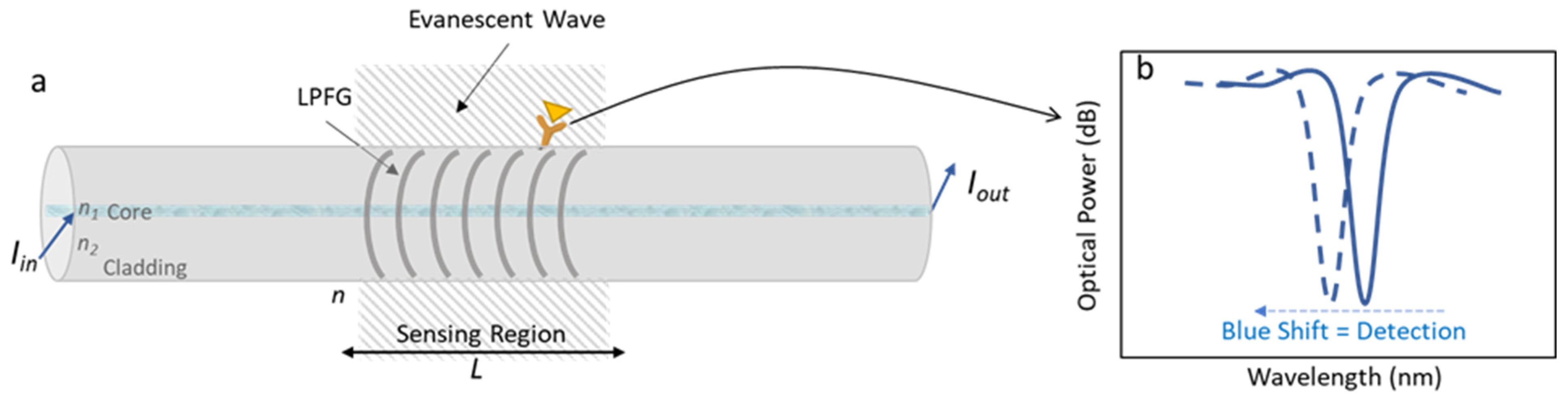 Chemproc 05 00048 g001