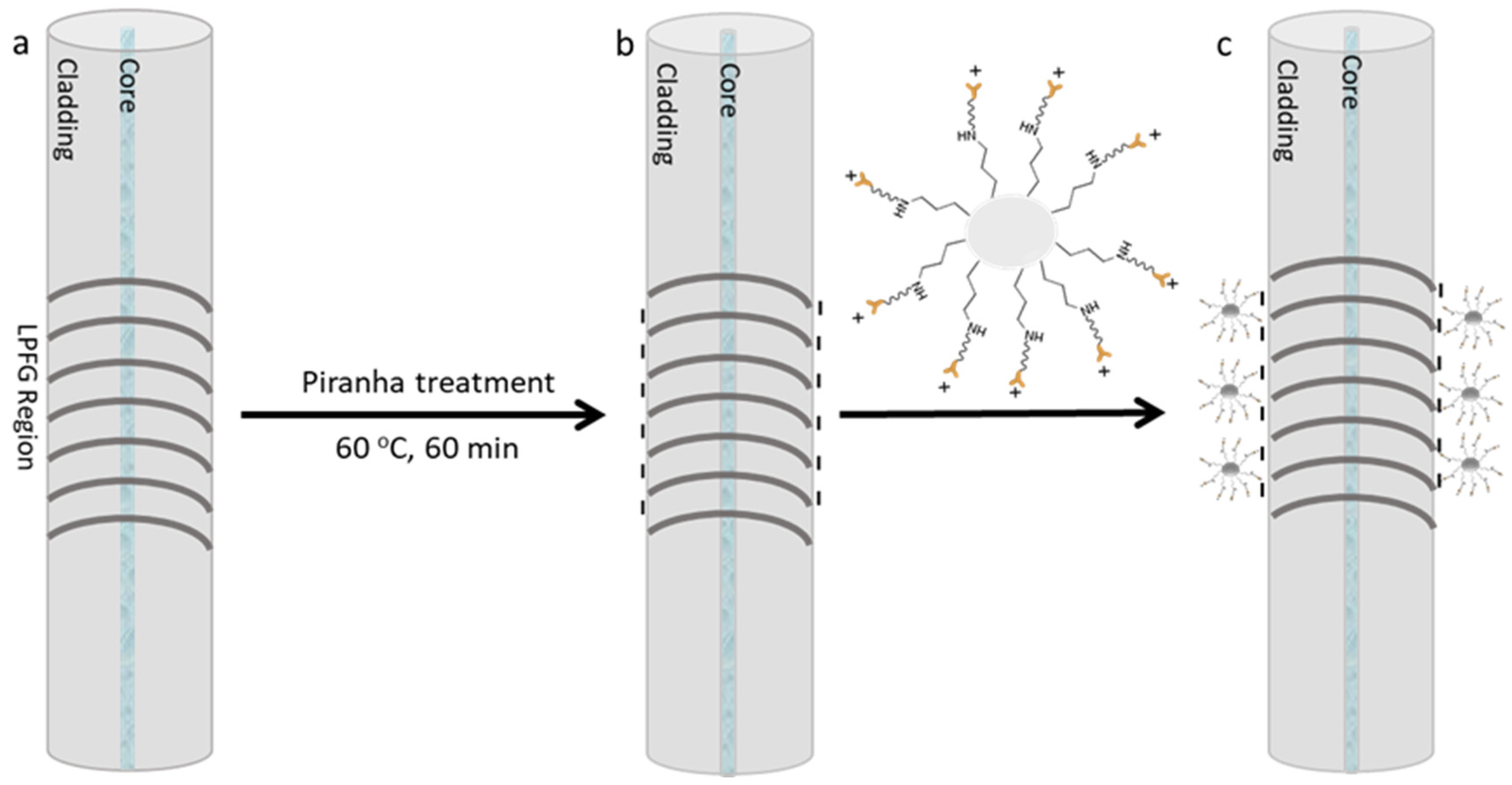 Chemproc 05 00048 g002
