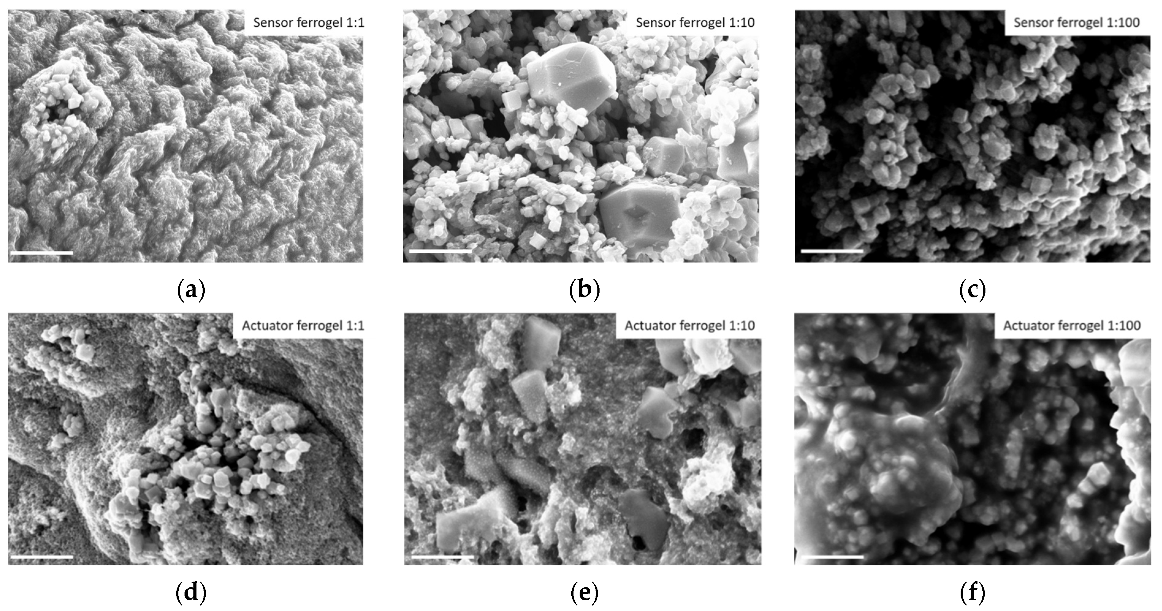 Chemproc 05 00049 g002