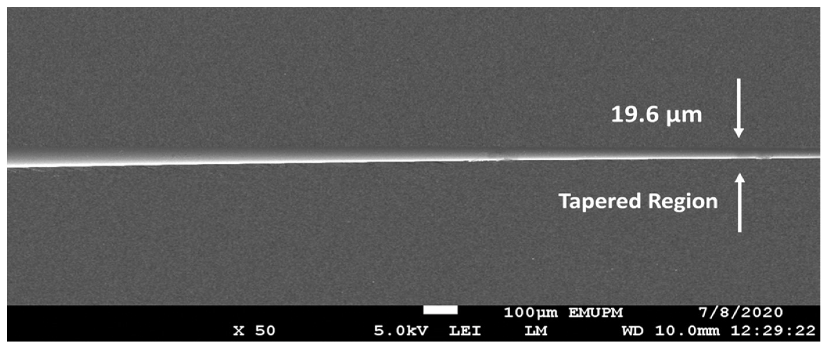 Chemproc 05 00085 g001 Chemproc 05 00085 g001