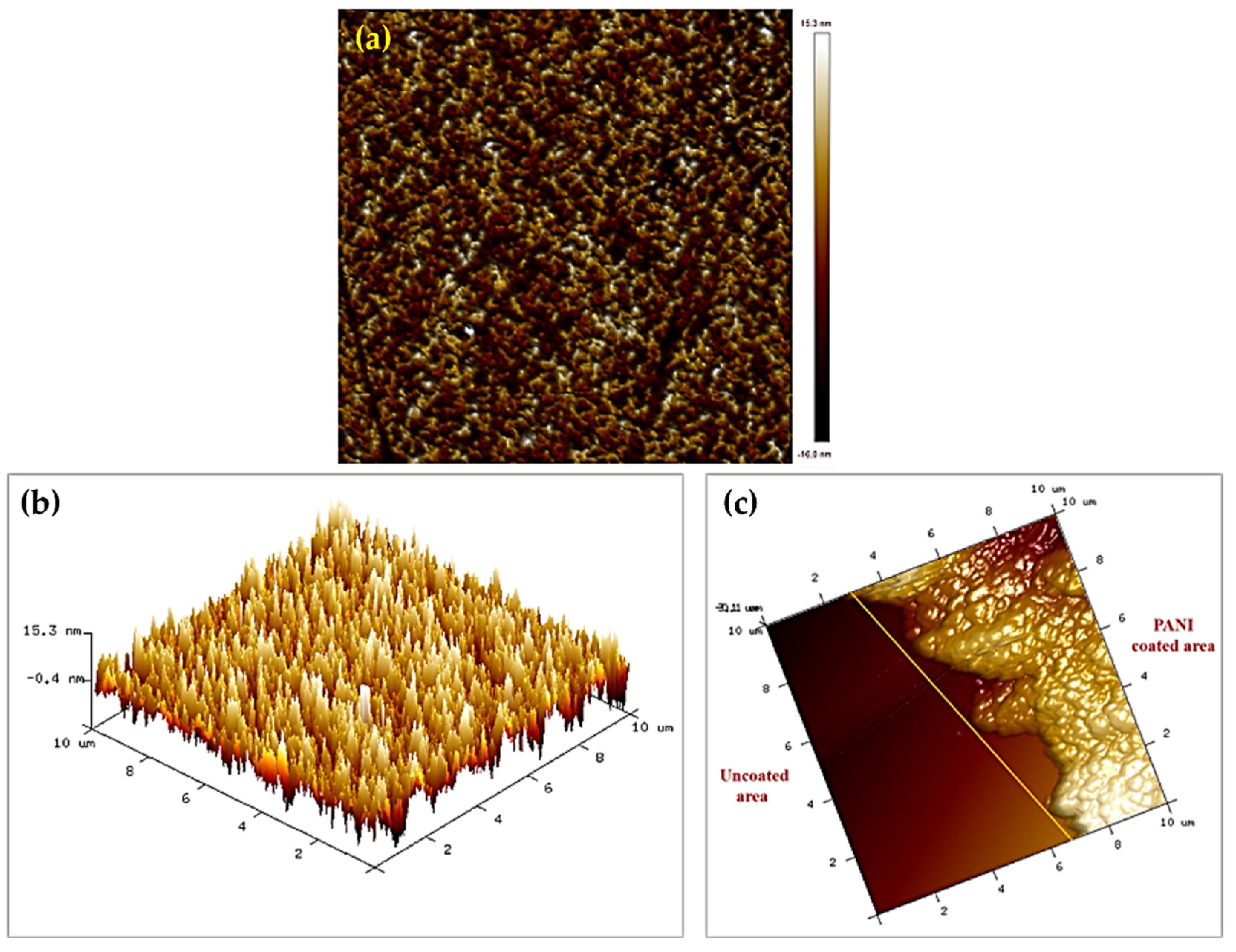 Chemproc 05 00085 g005 Chemproc 05 00085 g005