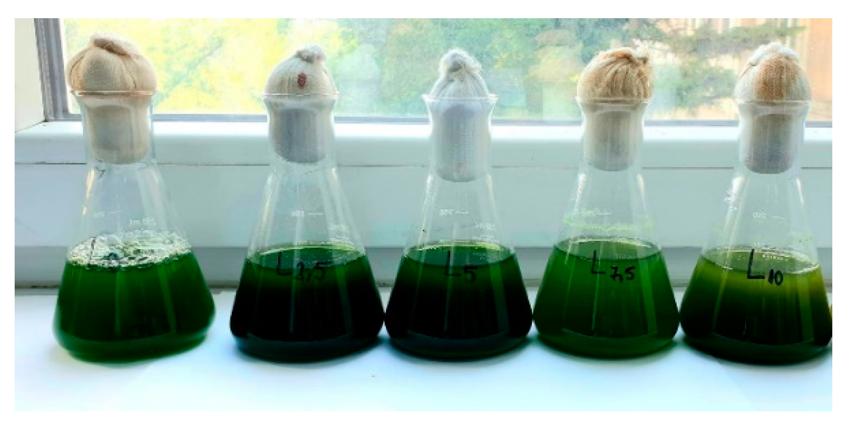 Chemproc 07 00011 g001