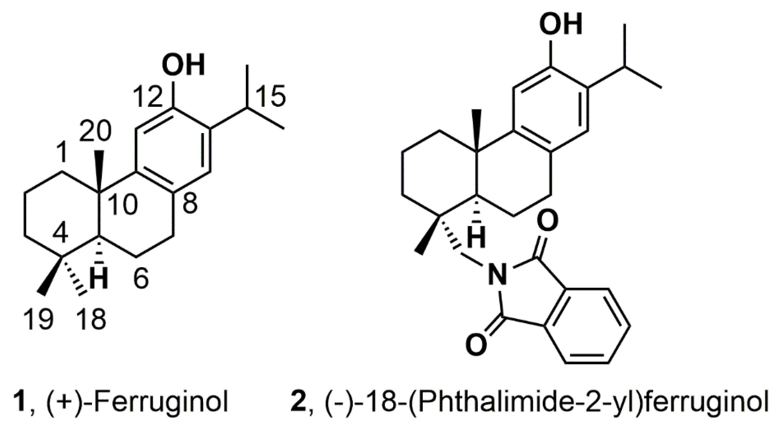 Chemproc 08 00002 g001