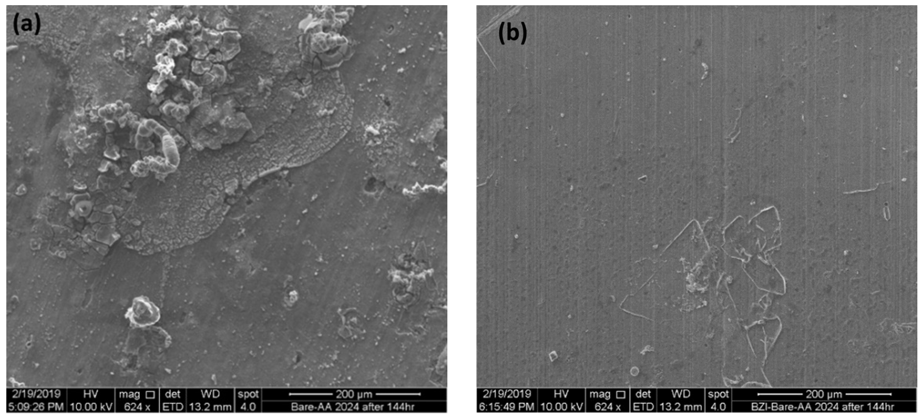 Chemproc 08 00014 g006
