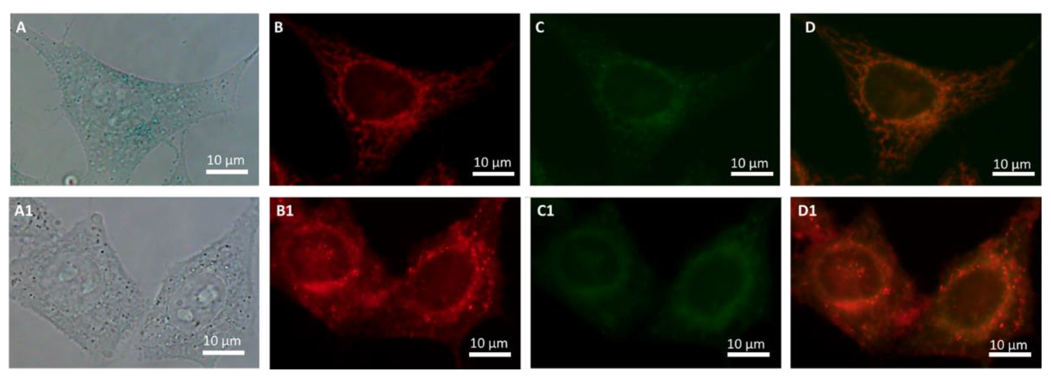 Chemproc 08 00041 g004