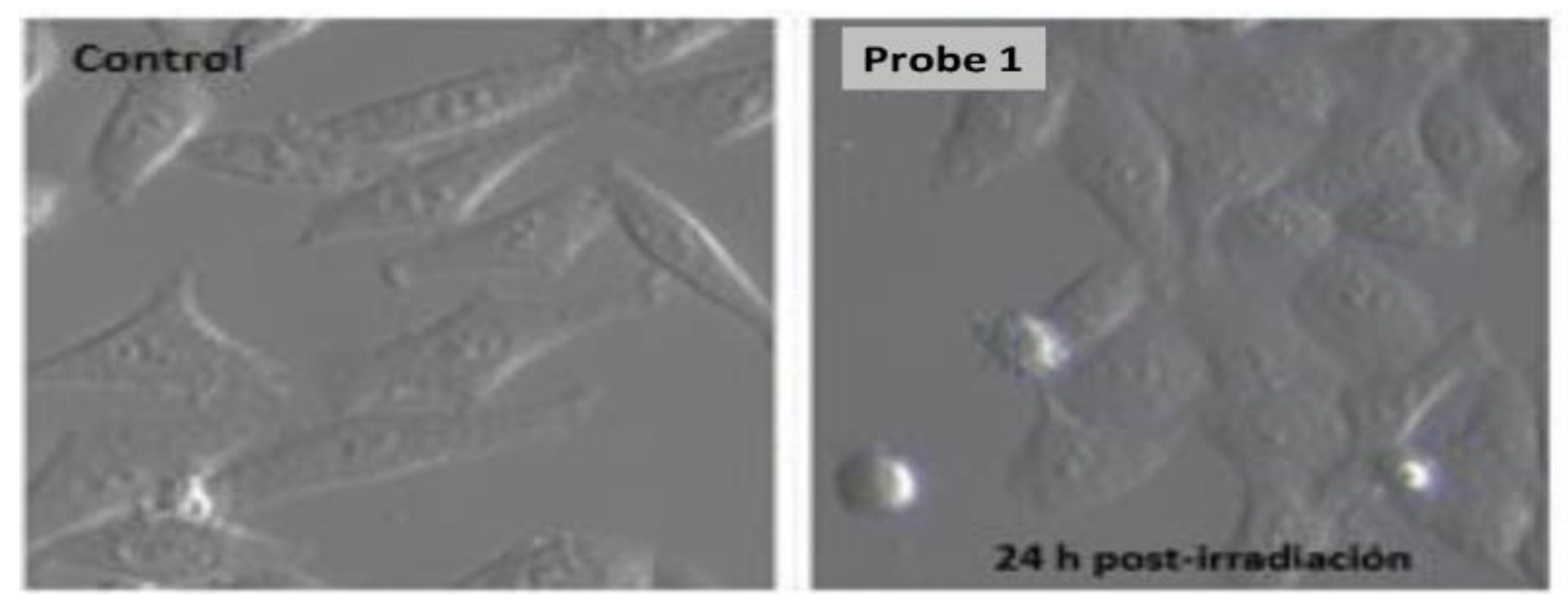Chemproc 08 00041 g005