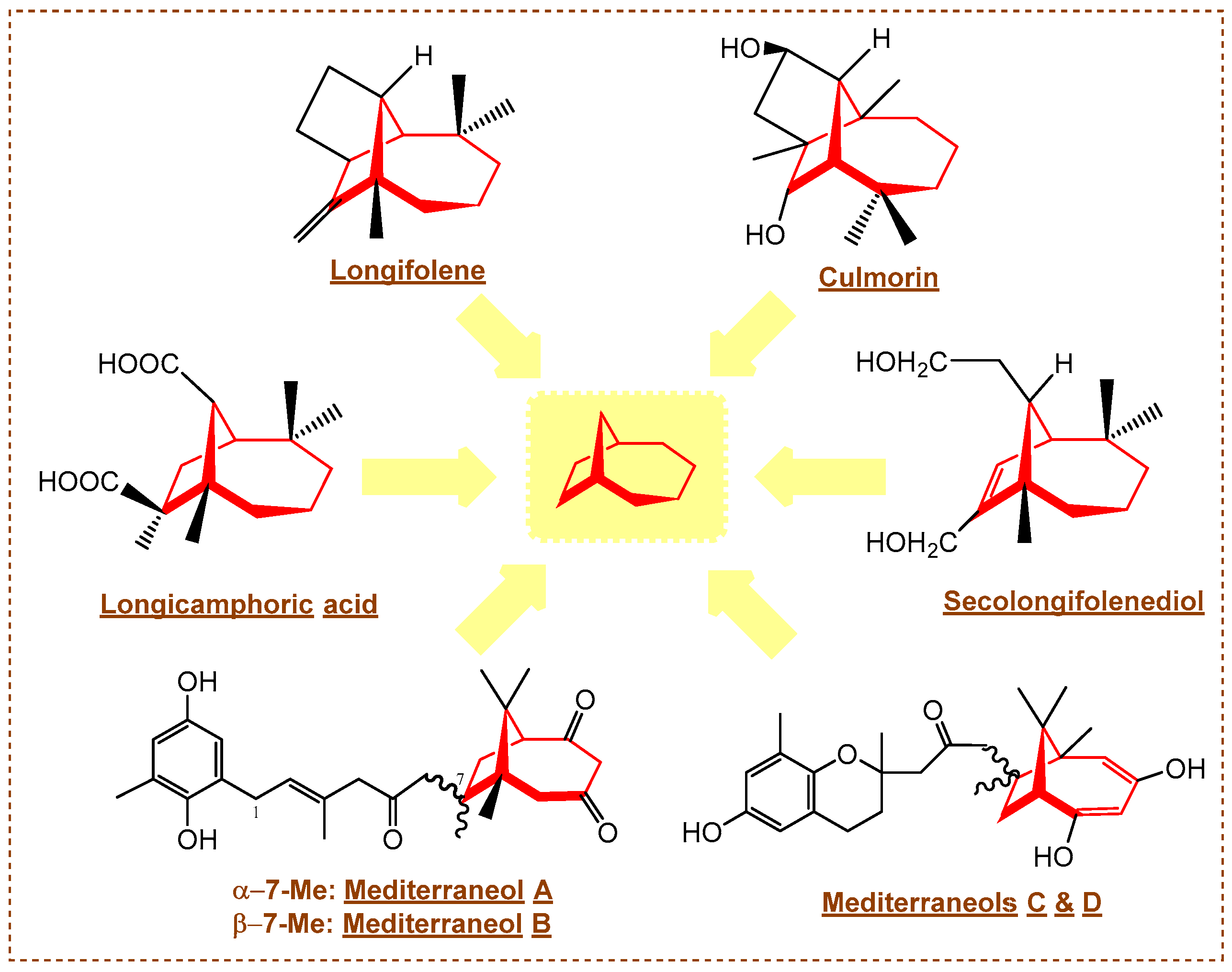 Chemproc 08 00045 g001