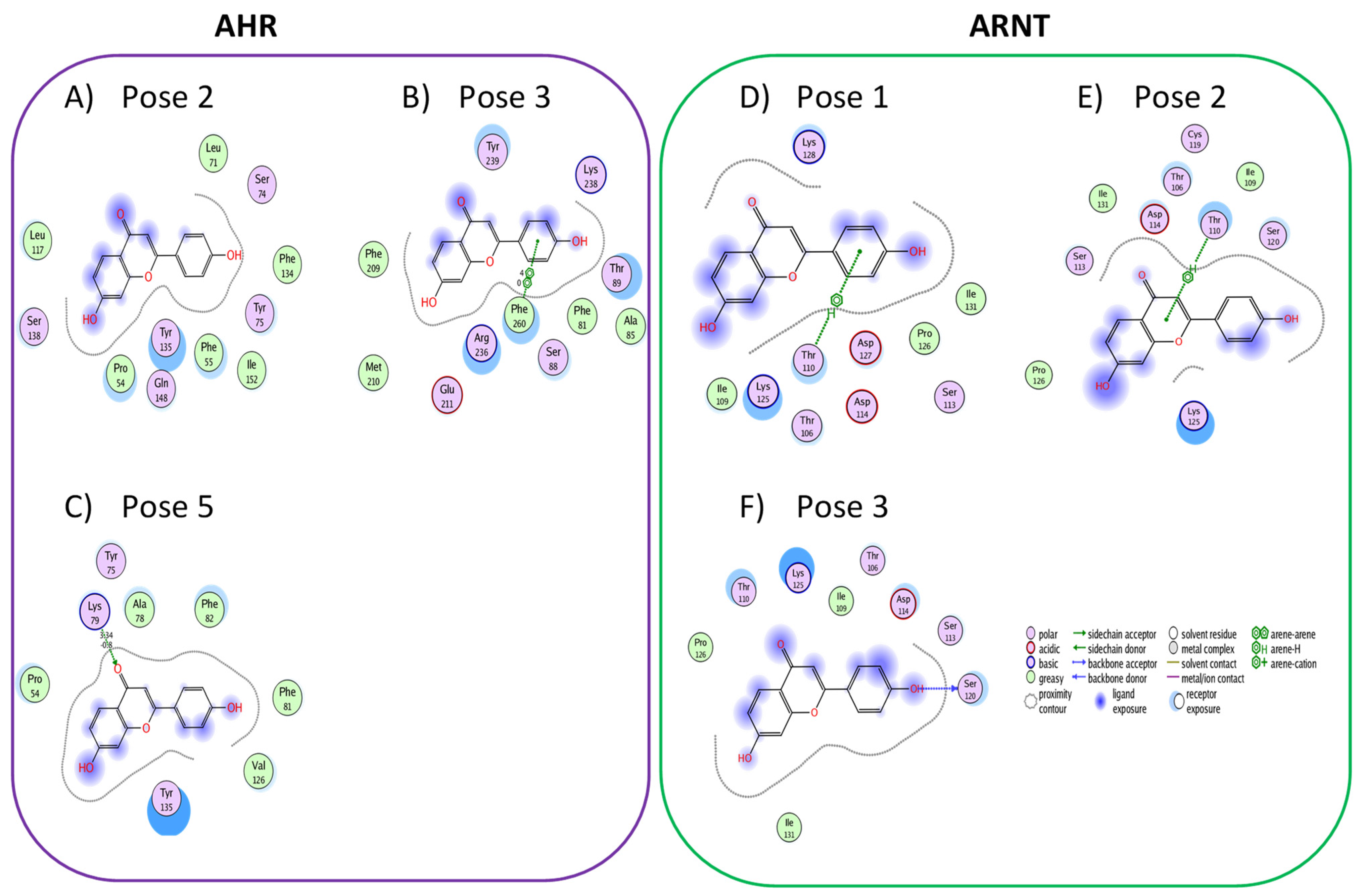 Chemproc 08 00077 g006