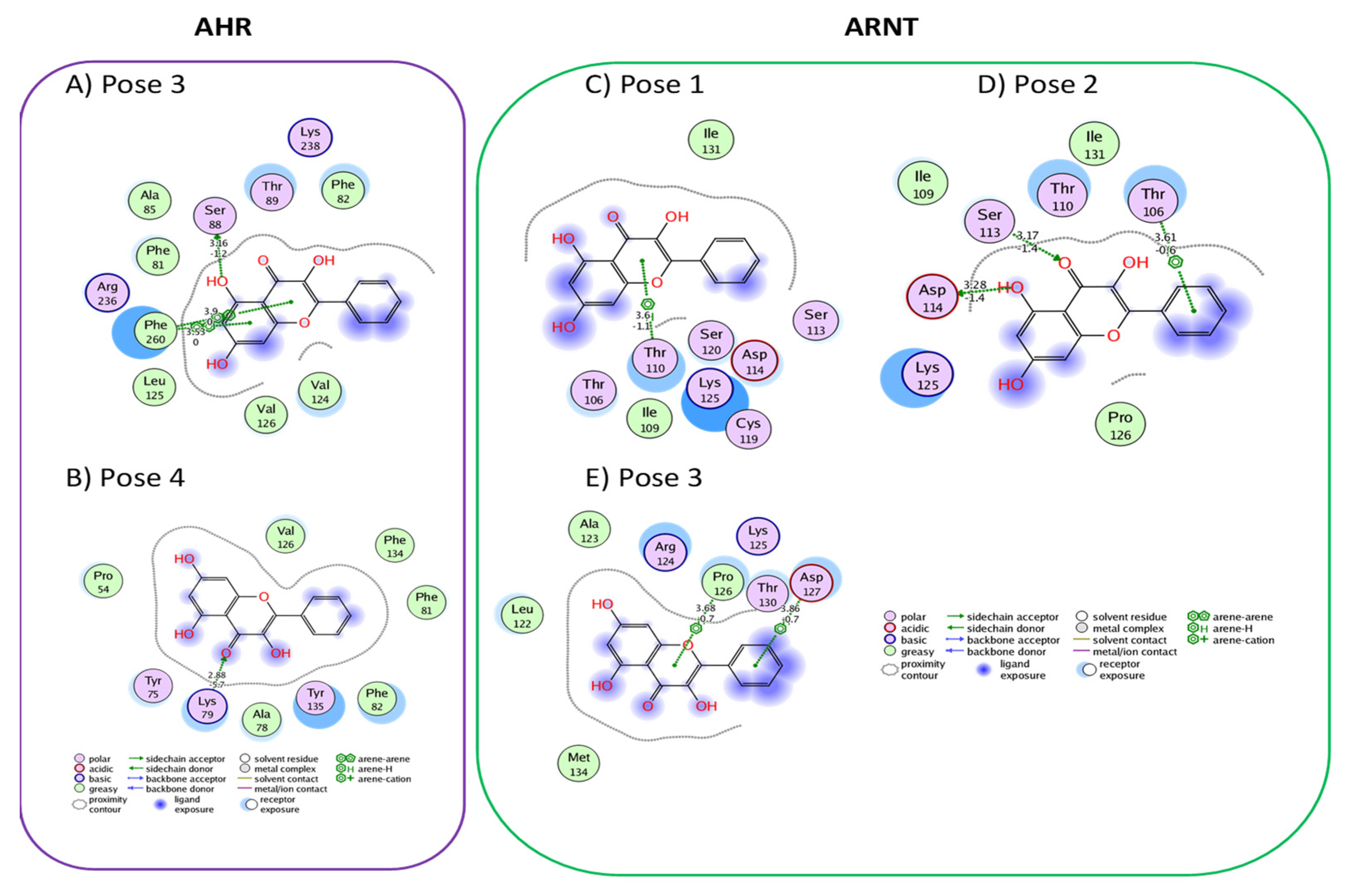 Chemproc 08 00077 g011