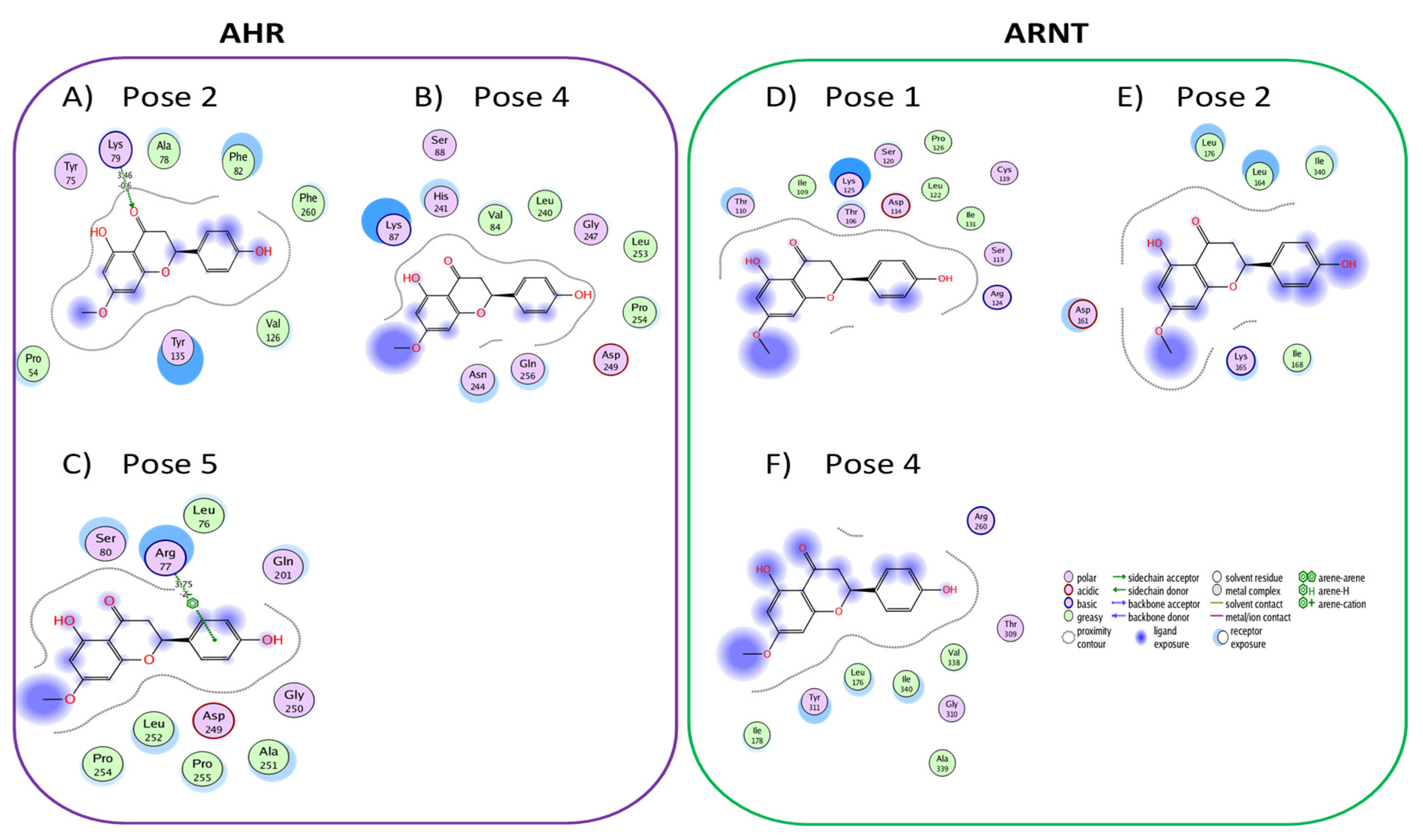 Chemproc 08 00077 g012