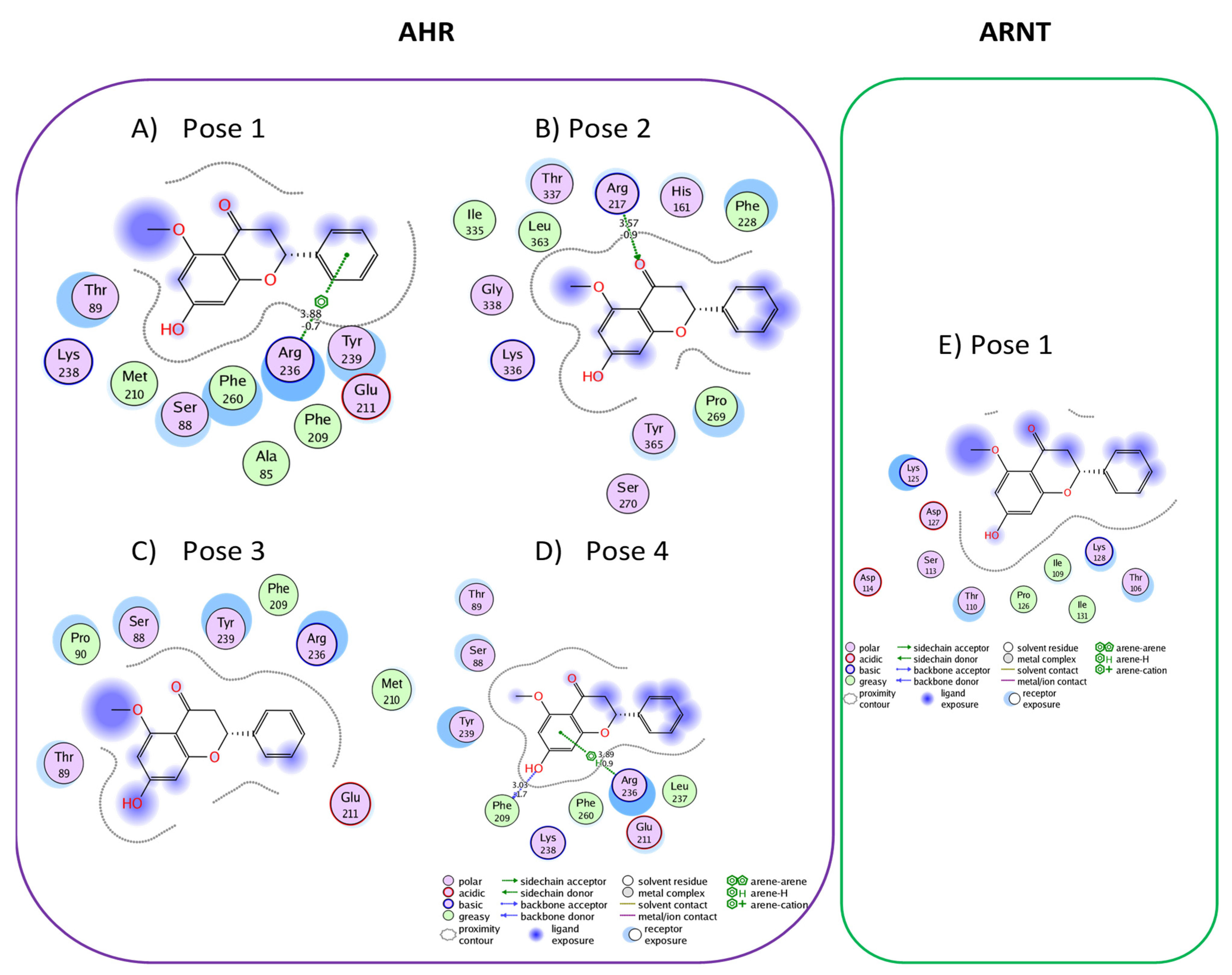 Chemproc 08 00077 g013