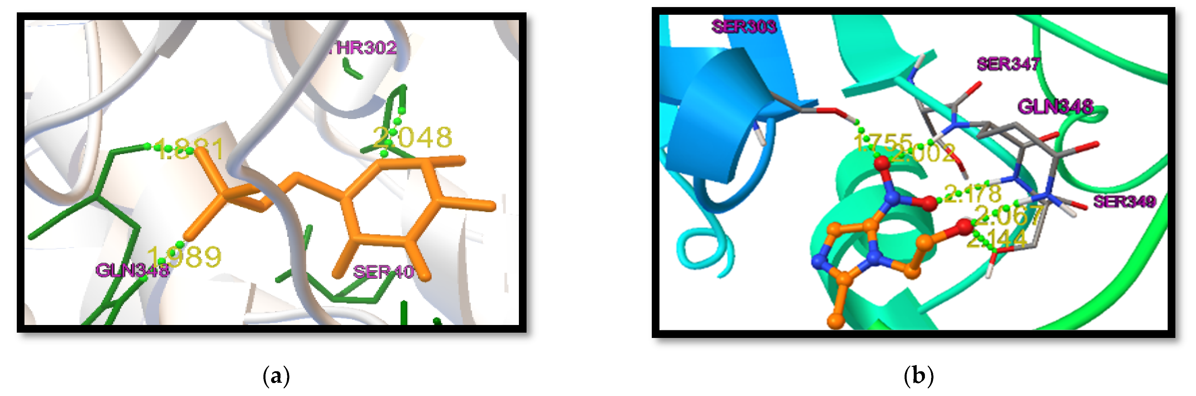 Chemproc 08 00078 g002