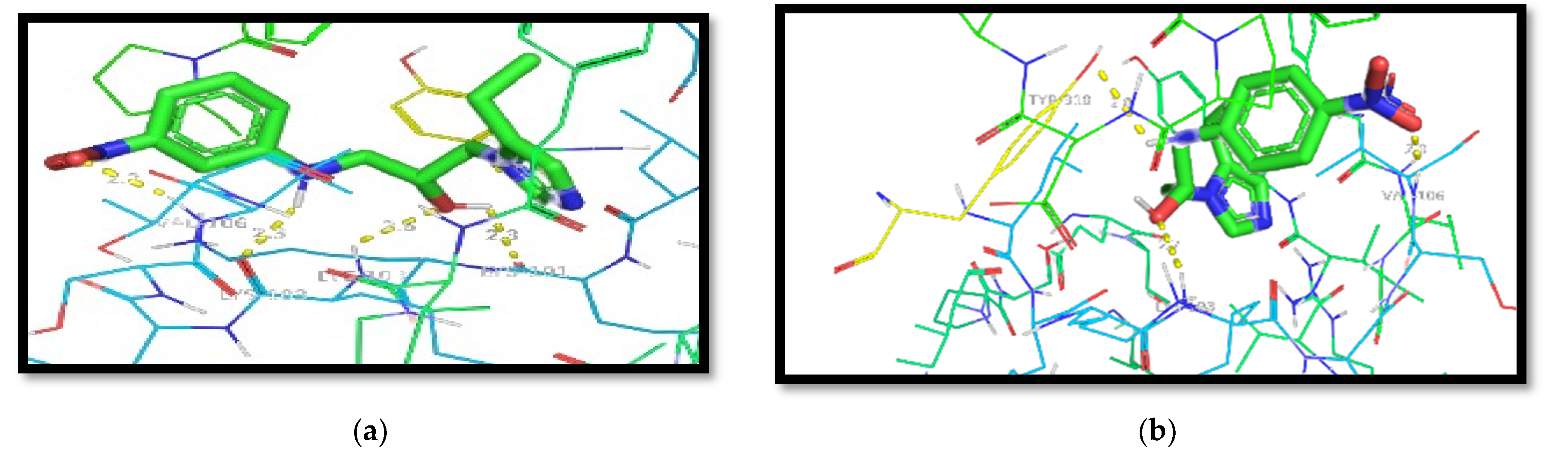Chemproc 08 00078 g005