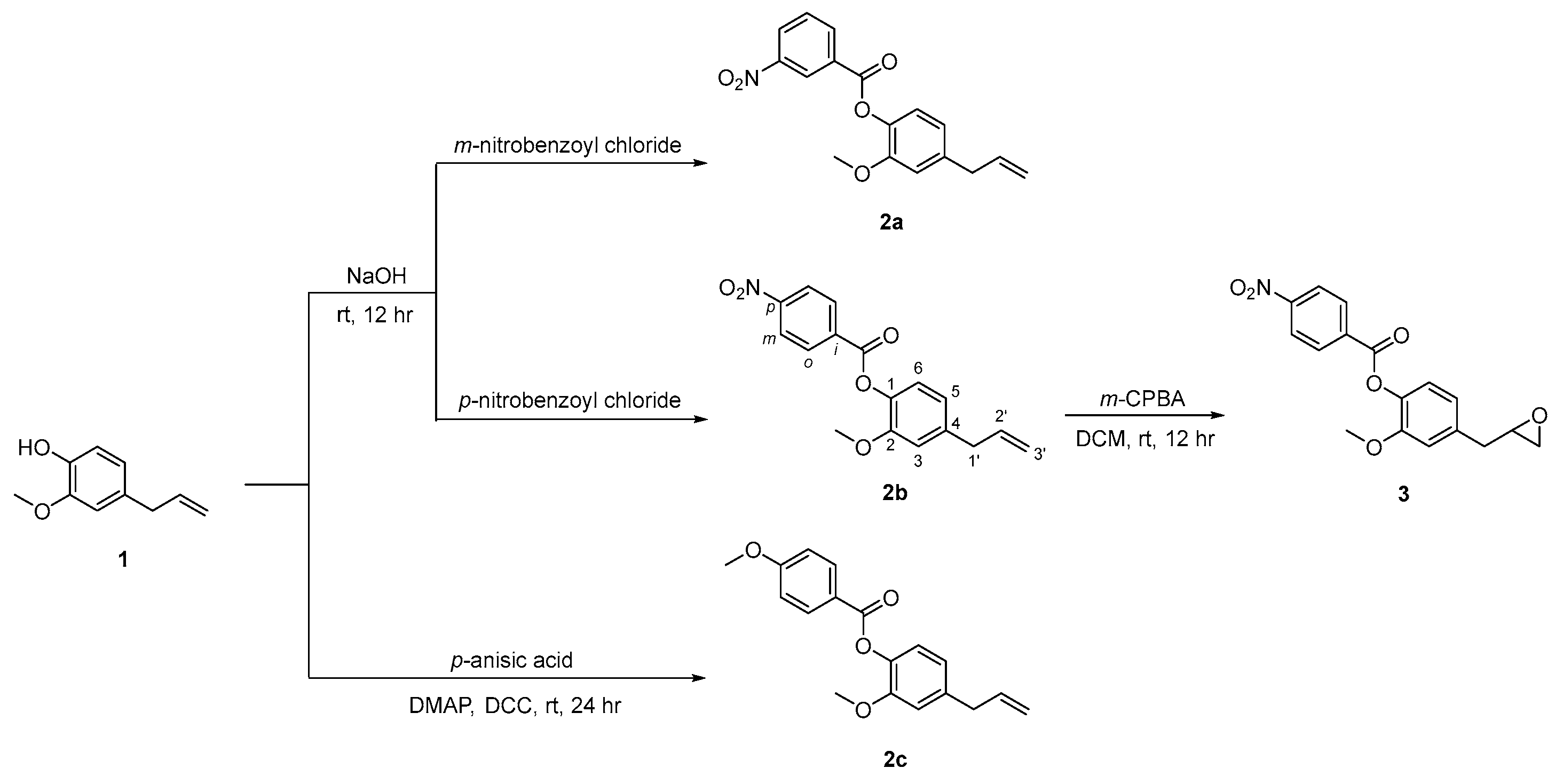 Chemproc 08 00083 sch001