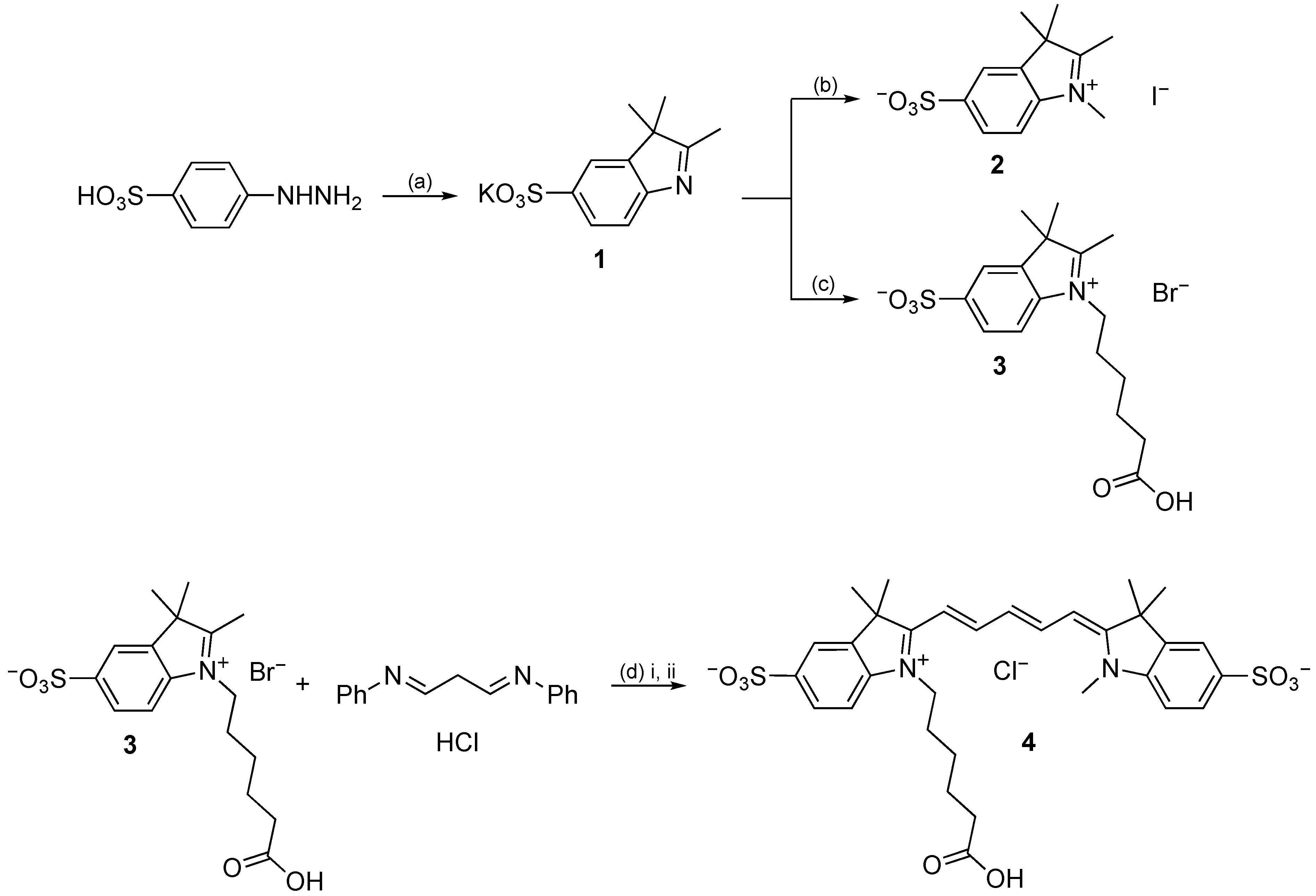 Chemproc 08 00091 sch001