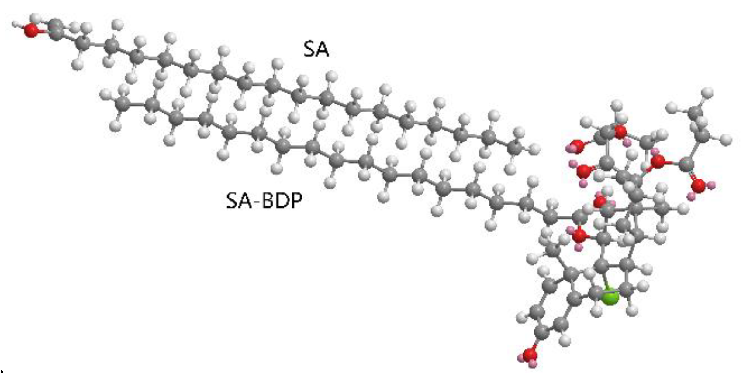 Chemproc 12 00013 g002