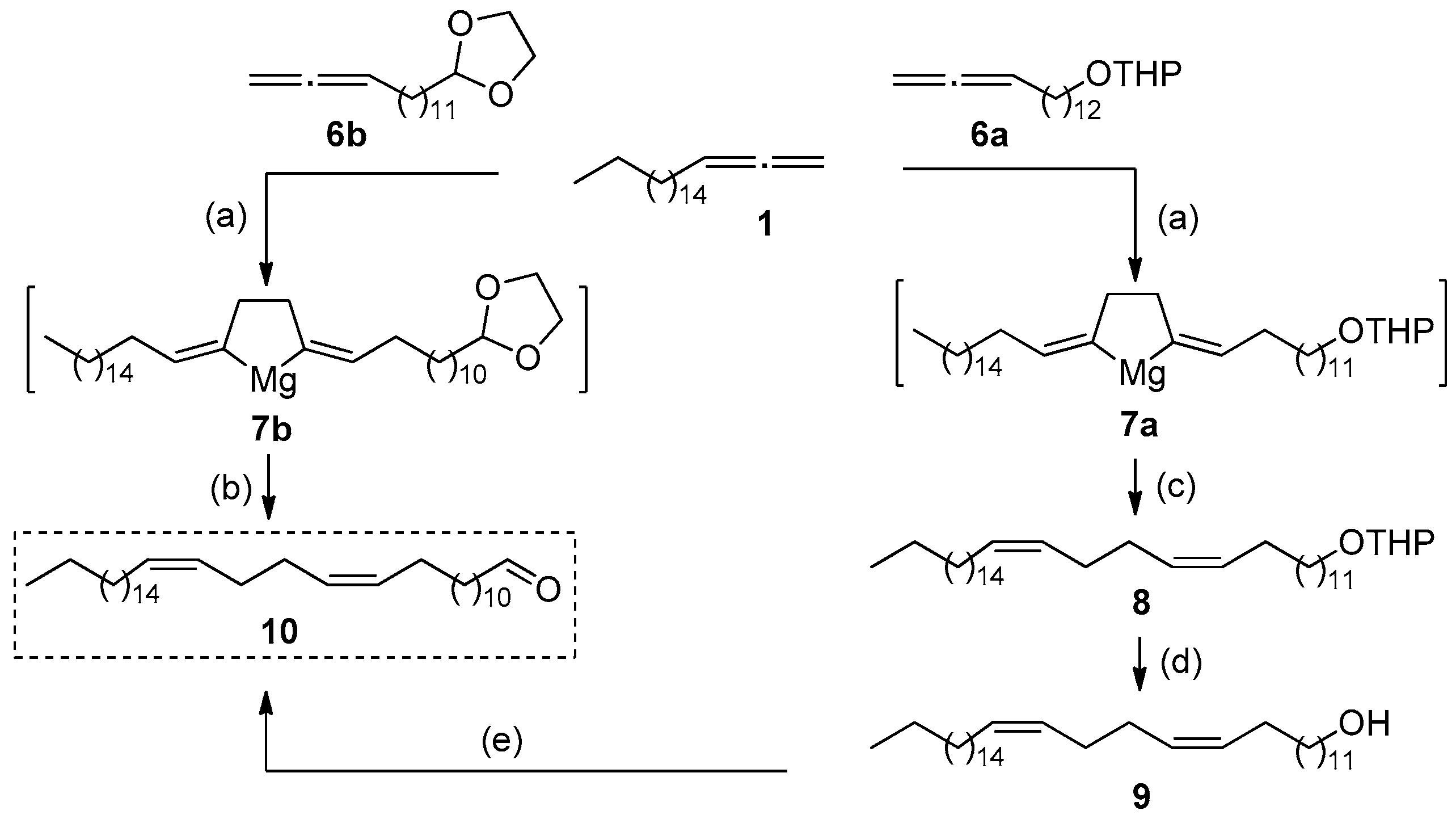 Chemproc 12 00019 sch003