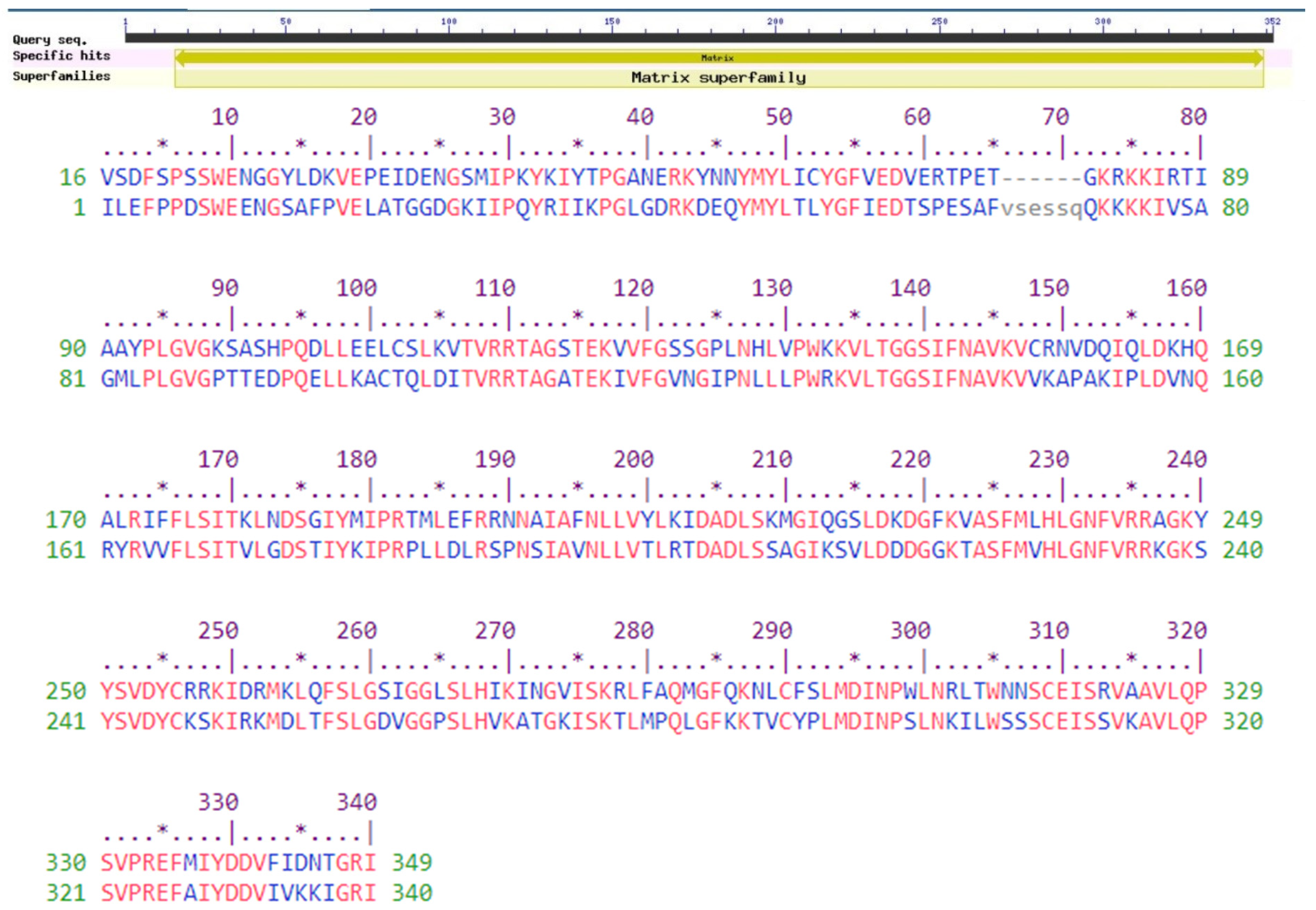 Chemproc 12 00021 g001 Chemproc 12 00021 g001