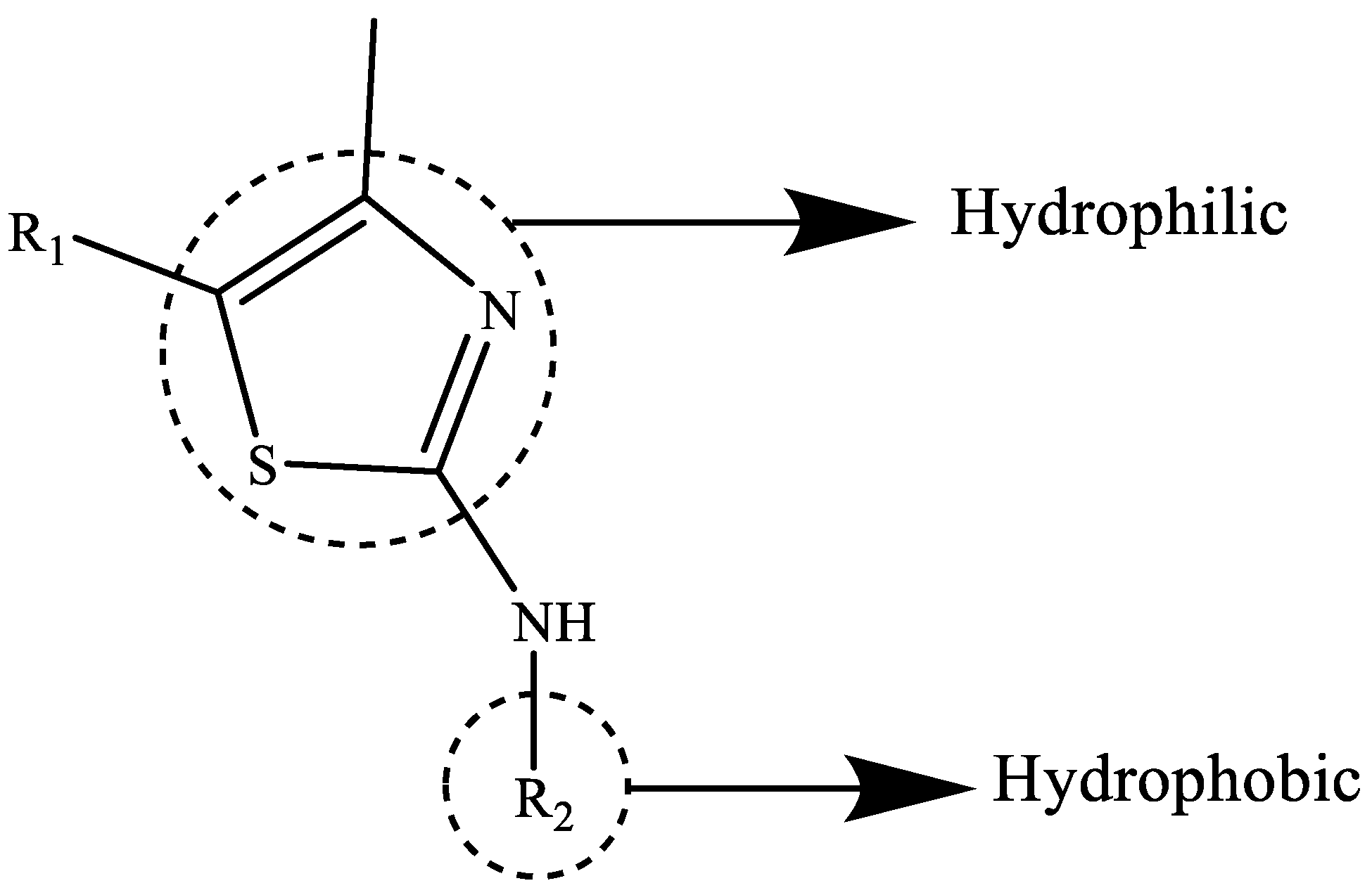Chemproc 12 00036 g002