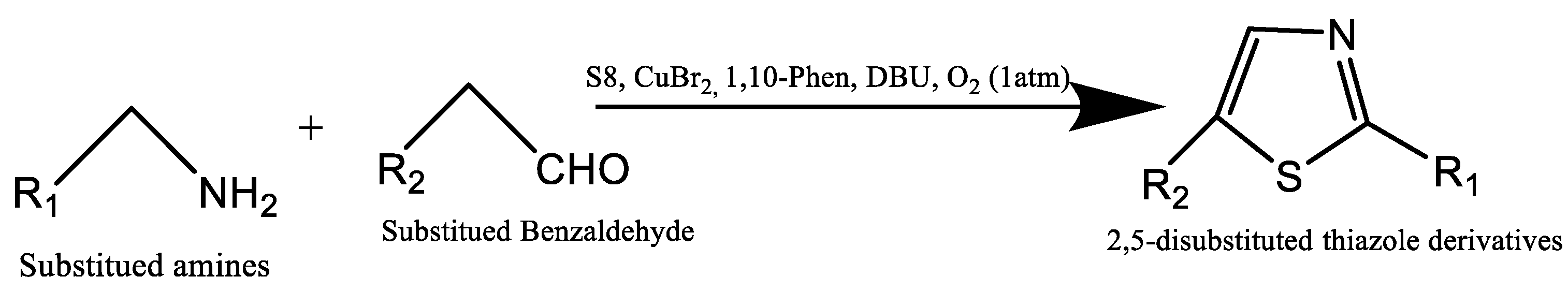 Chemproc 12 00036 g008
