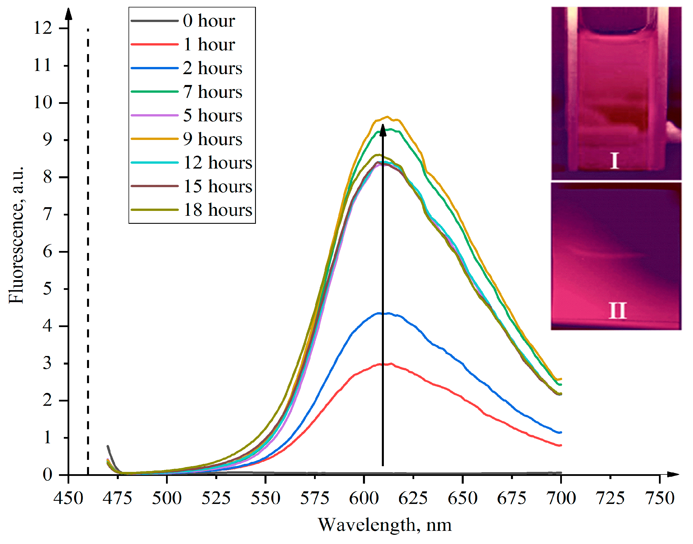 Chemproc 12 00066 g006 Chemproc 12 00066 g006